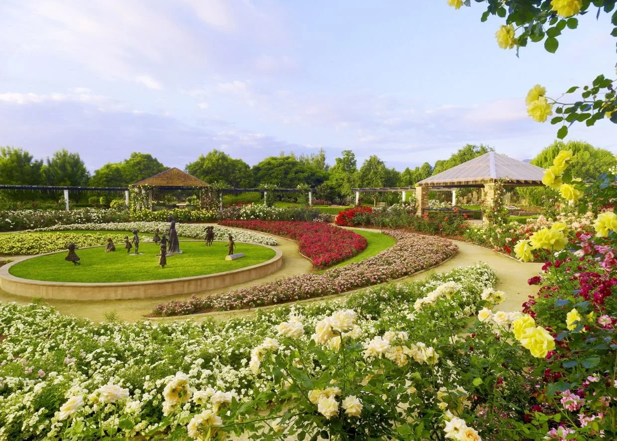 HUNTER VALLEY, PORT STEPHENS &amp; NEWCASTLE