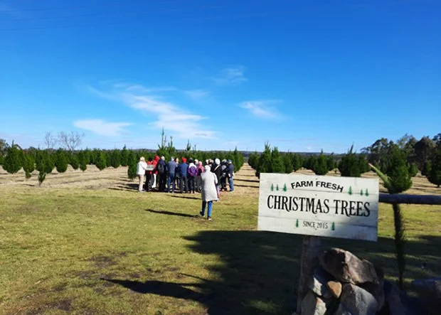 THE GRANITE BELT REGION’S CHRISTMAS IN JULY