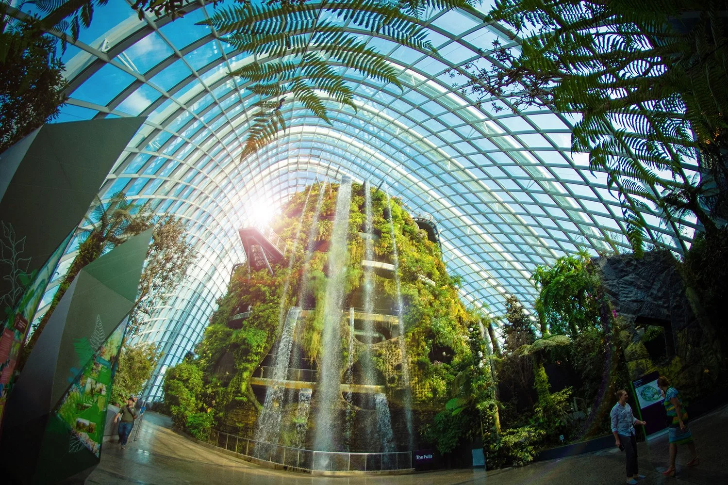 Gardens by the Bay Cloud Dome.JPG