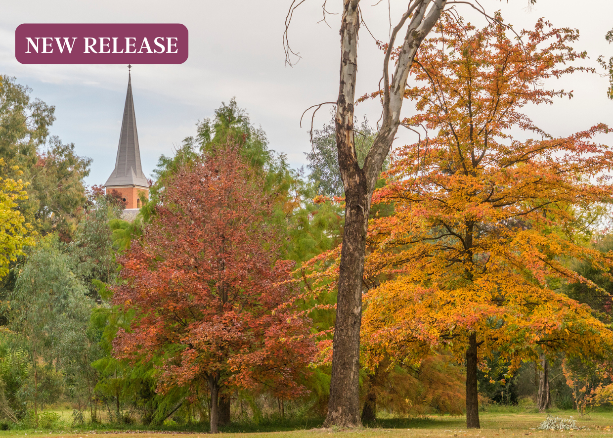 TUMUT VALLEY AUTUMN DELIGHT