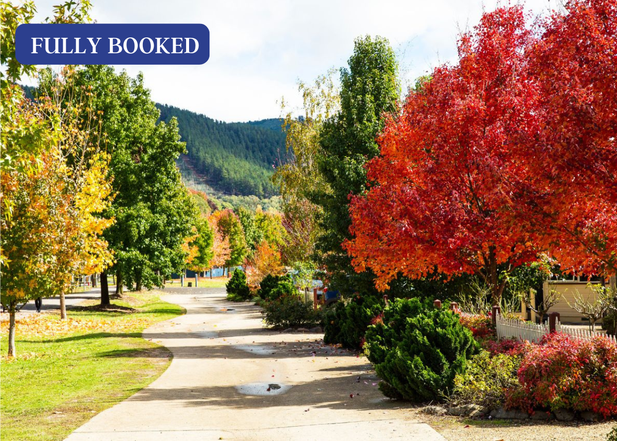 COLOURS OF AUTUMN IN THE VICTORIAN ALPINE REGION