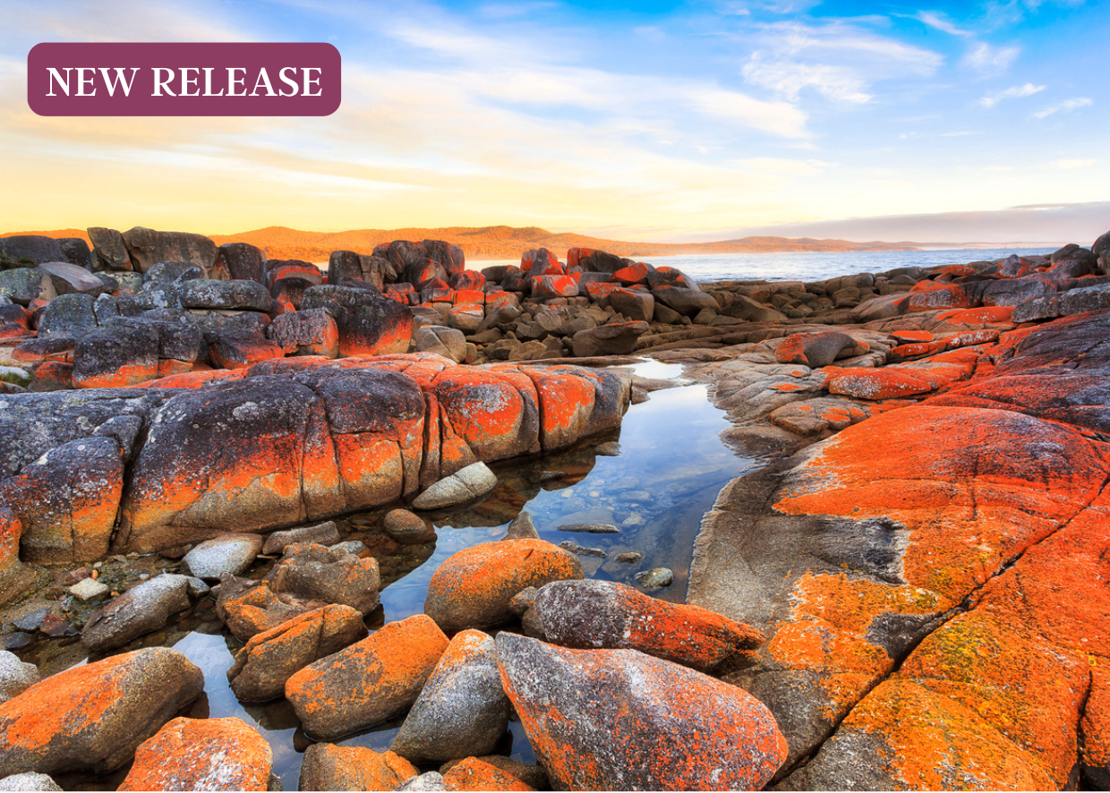 TASMANIA’S BAY OF FIRES - WALK EXPERIENCE