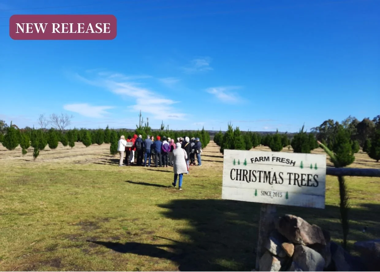 THE GRANITE BELT REGION’S CHRISTMAS IN JULY