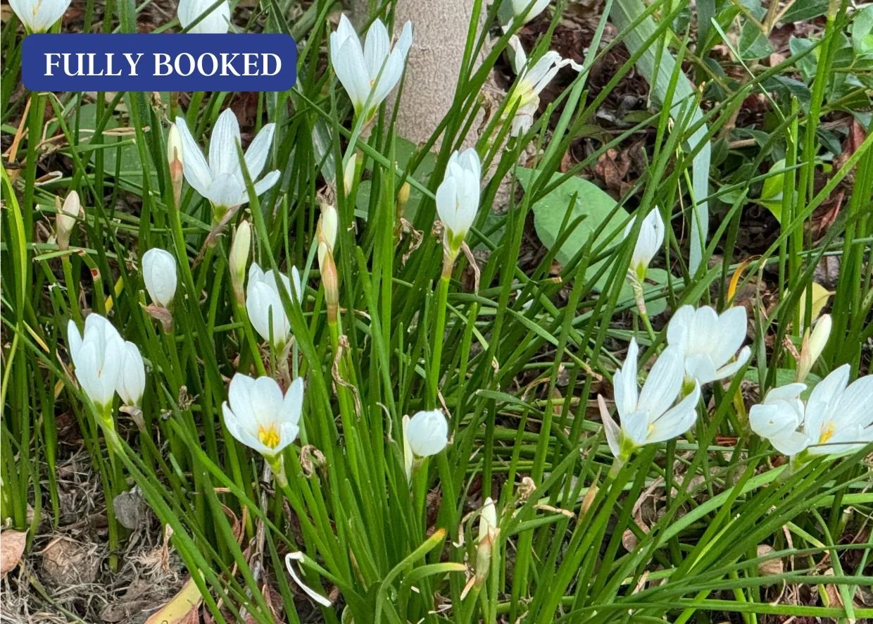 QUEENSLAND OUTBACK GARDEN TRAIL