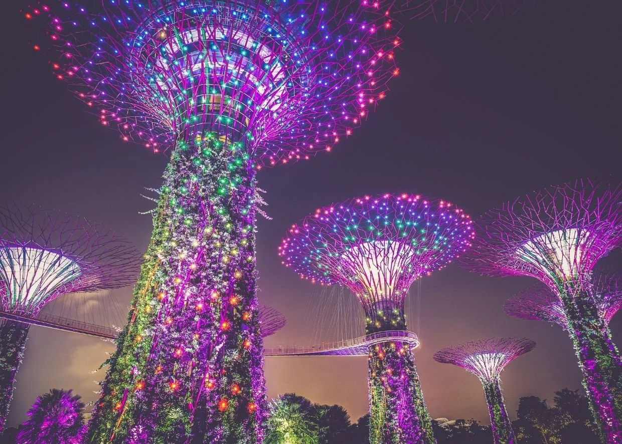 SINGAPORE SIGHTSEEING INCL. THE 2026 GARDEN FESTIVAL 