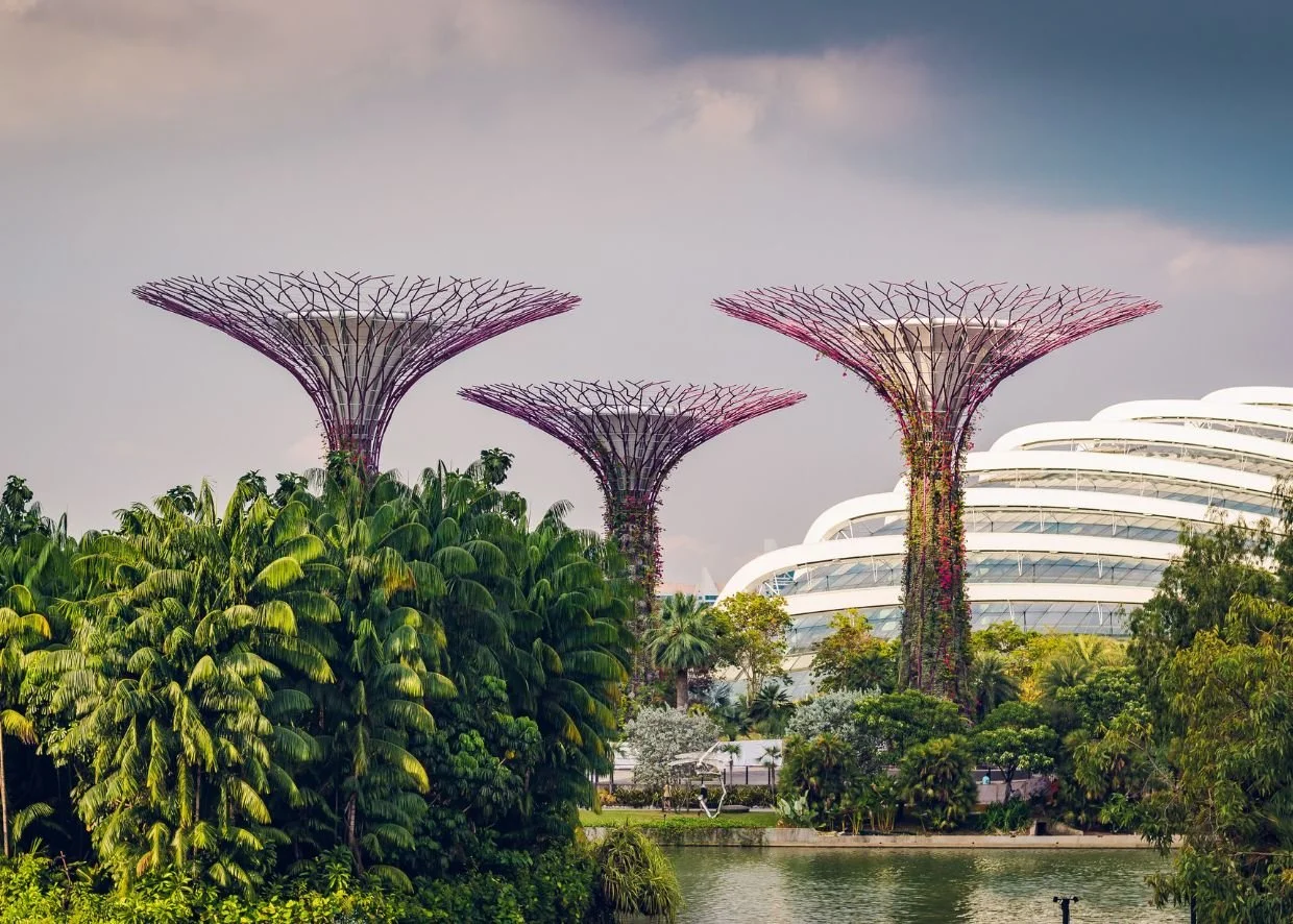 SINGAPORE SIGHTSEEING INCL. THE 2026 GARDEN FESTIVAL