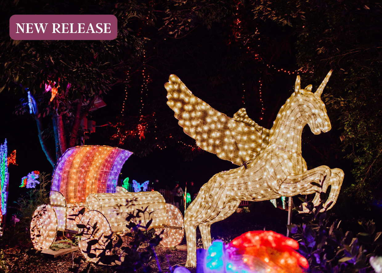 HUNTER VALLEY - PORT STEPHENS XMAS LIGHT SPECTACULAR