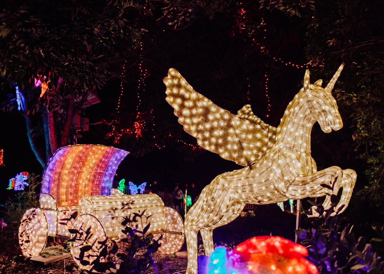 HUNTER VALLEY - PORT STEPHENS XMAS LIGHT SPECTACULAR
