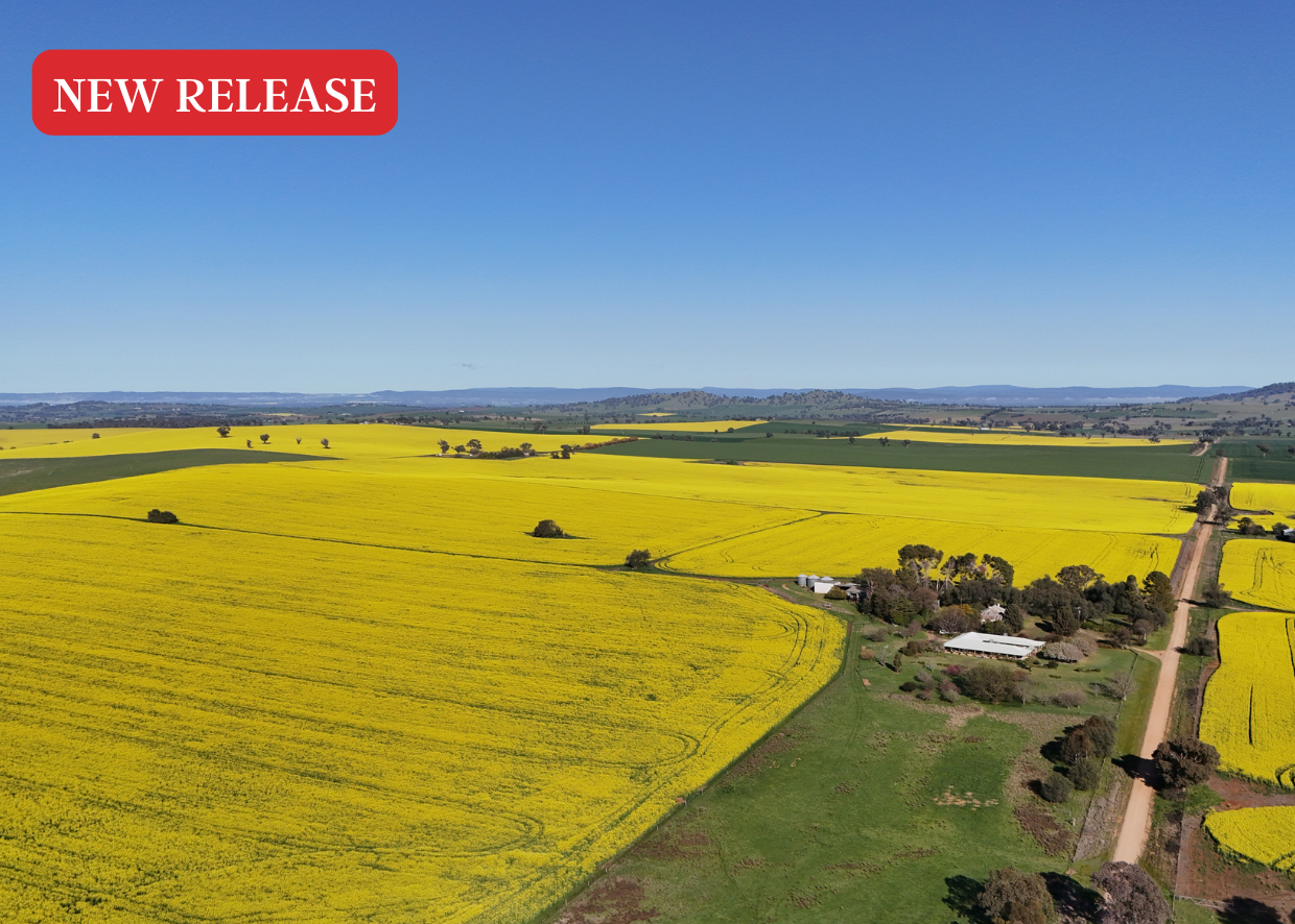 CANOLA COUNTRY &amp; COOL-CLIMATE GARDENS