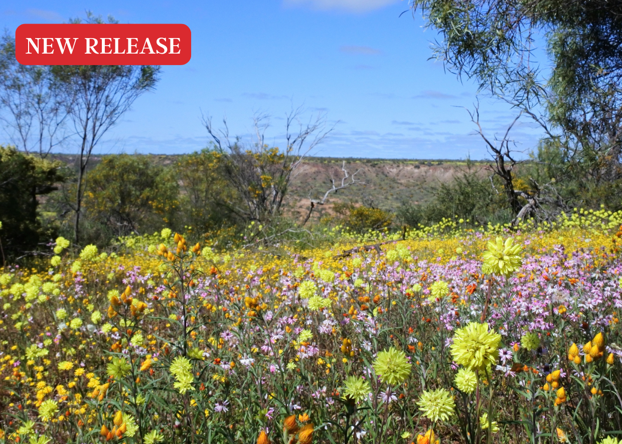 WESTERN AUSTRALIA WILDFLOWERS TRAIL