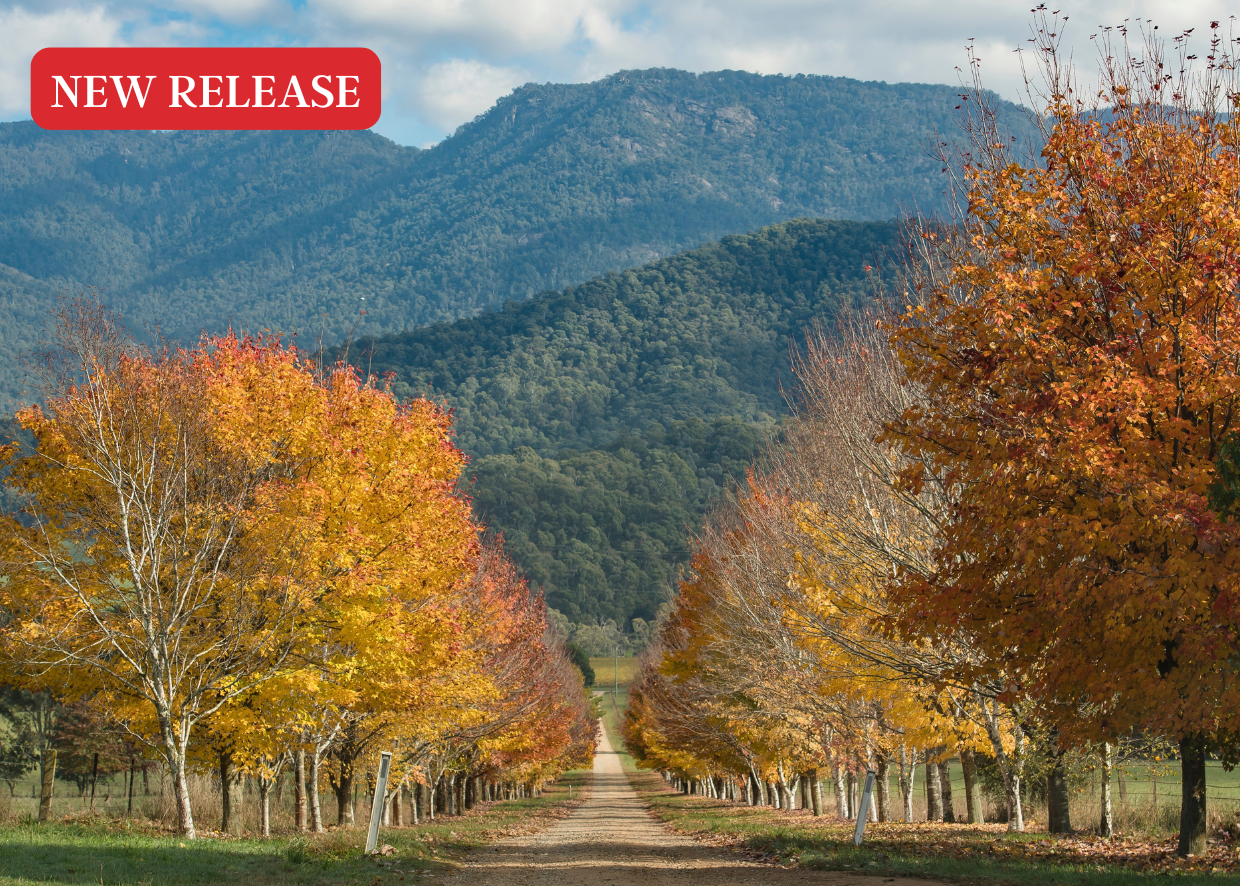COLOURS OF AUTUMN IN THE VICTORIA ALPINE REGION