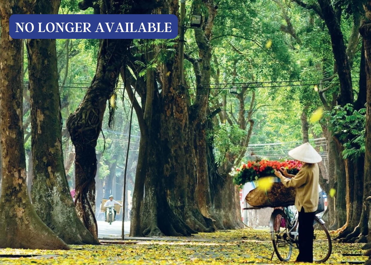 VIETNAM SIGNATURE EXPERIENCE (INCL. LAND + INTERNAL FLIGHTS)