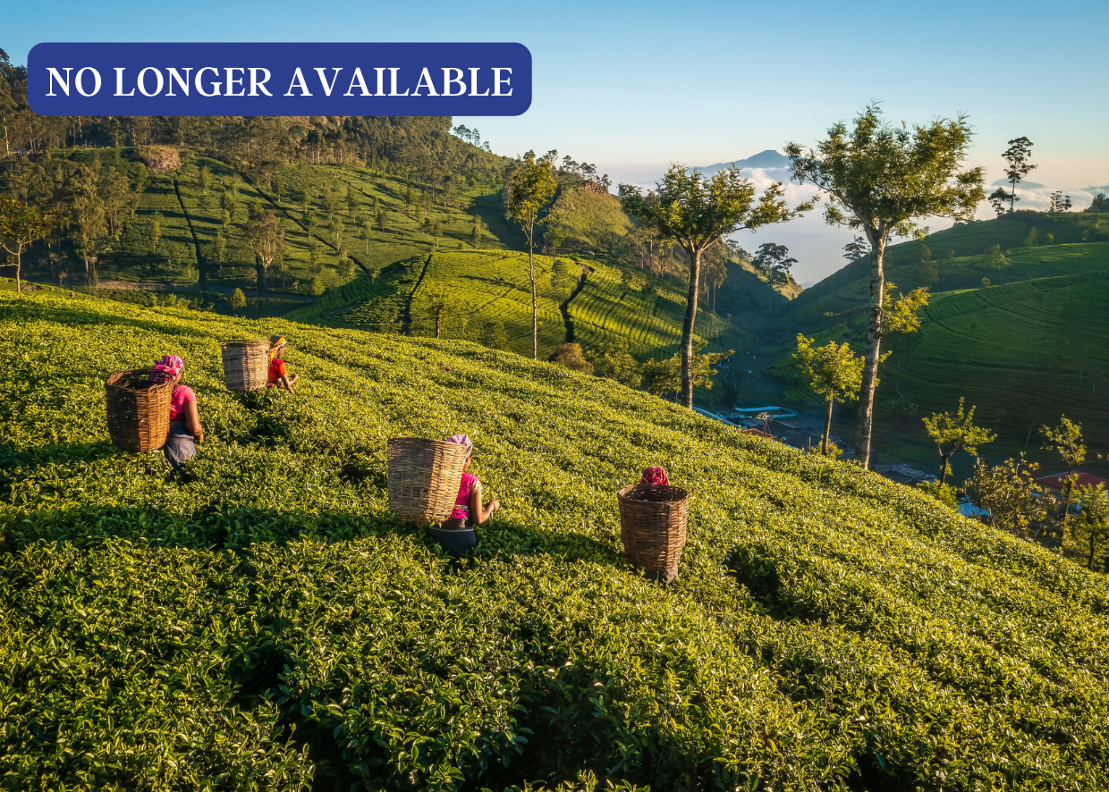 MYSTICAL SRI LANKA: TEMPLES, ELEPHANTS &amp; TEA TRAILS (LAND ONLY)