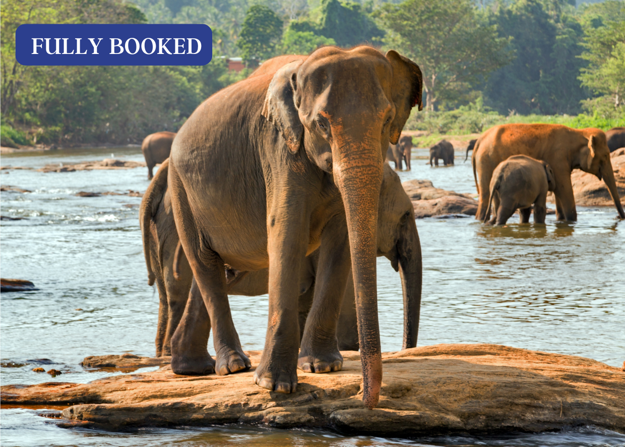 SRI LANKA - PEARL OF THE INDIAN OCEAN