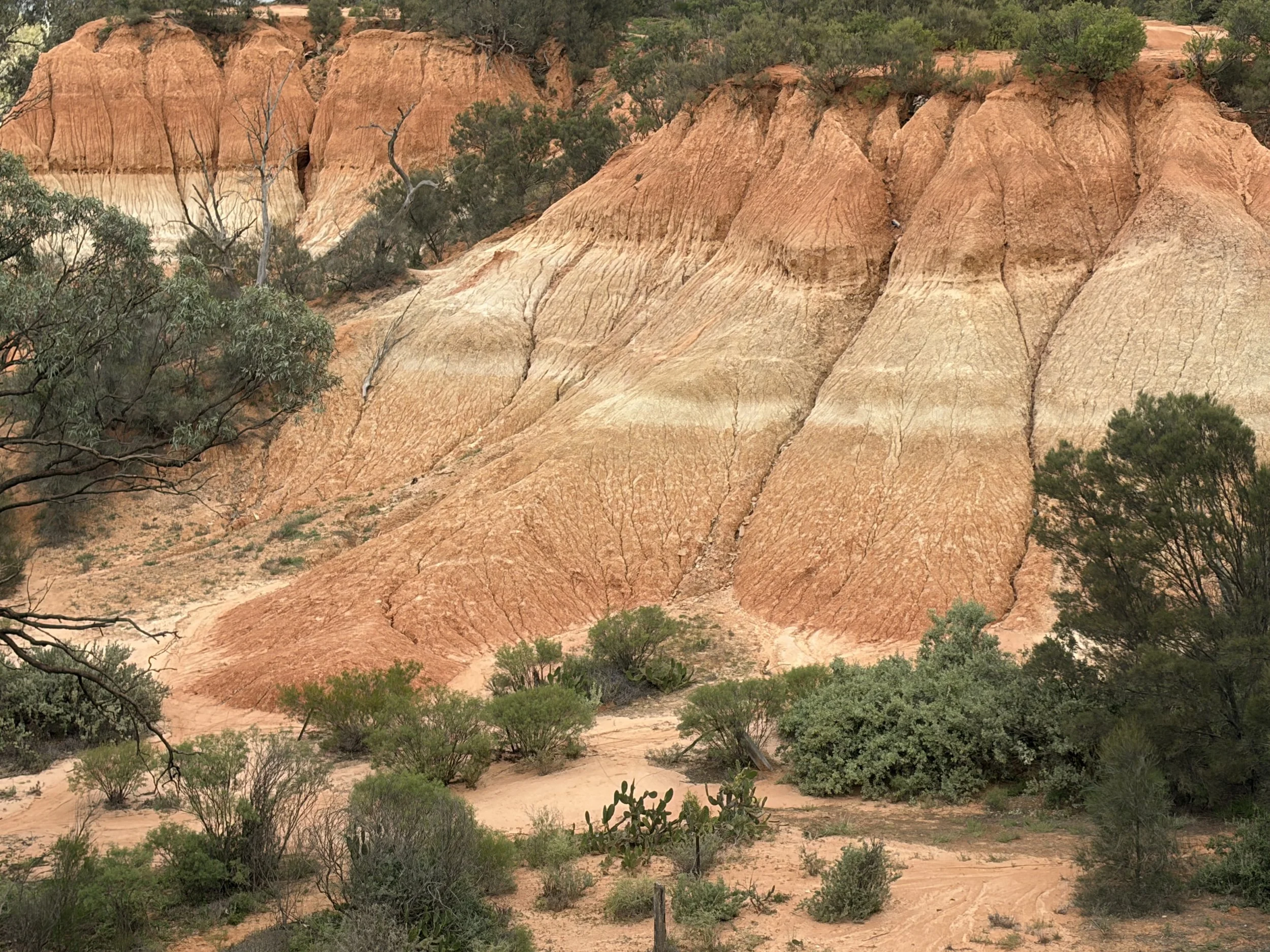 Mildura_BH_Mungo_May26 (11).JPG