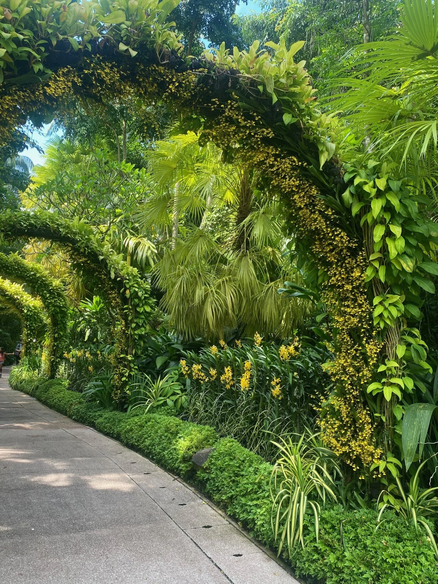 Singapore (14).jpg