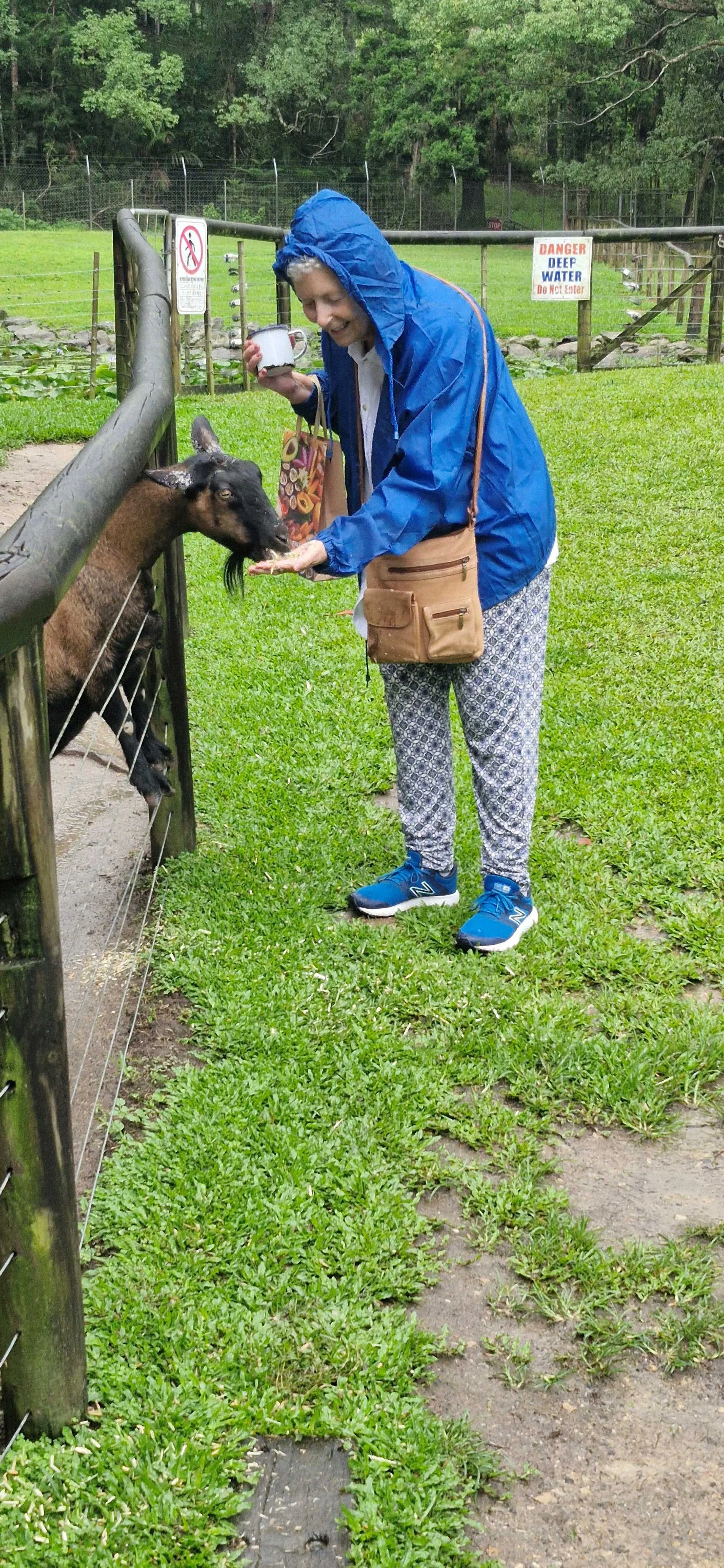 feeeding the goats 1.jpg