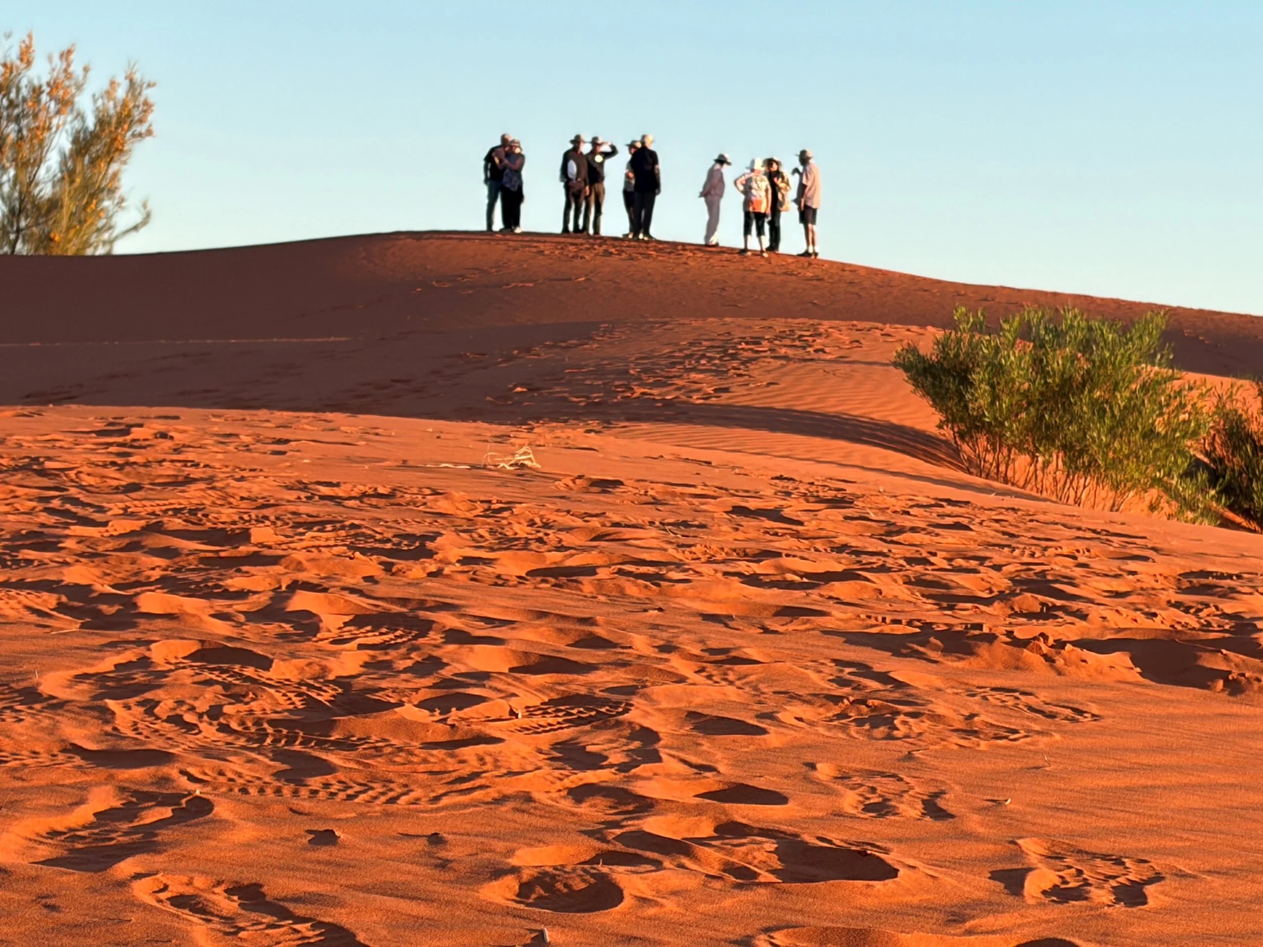 Group Sunset drinks.jpg