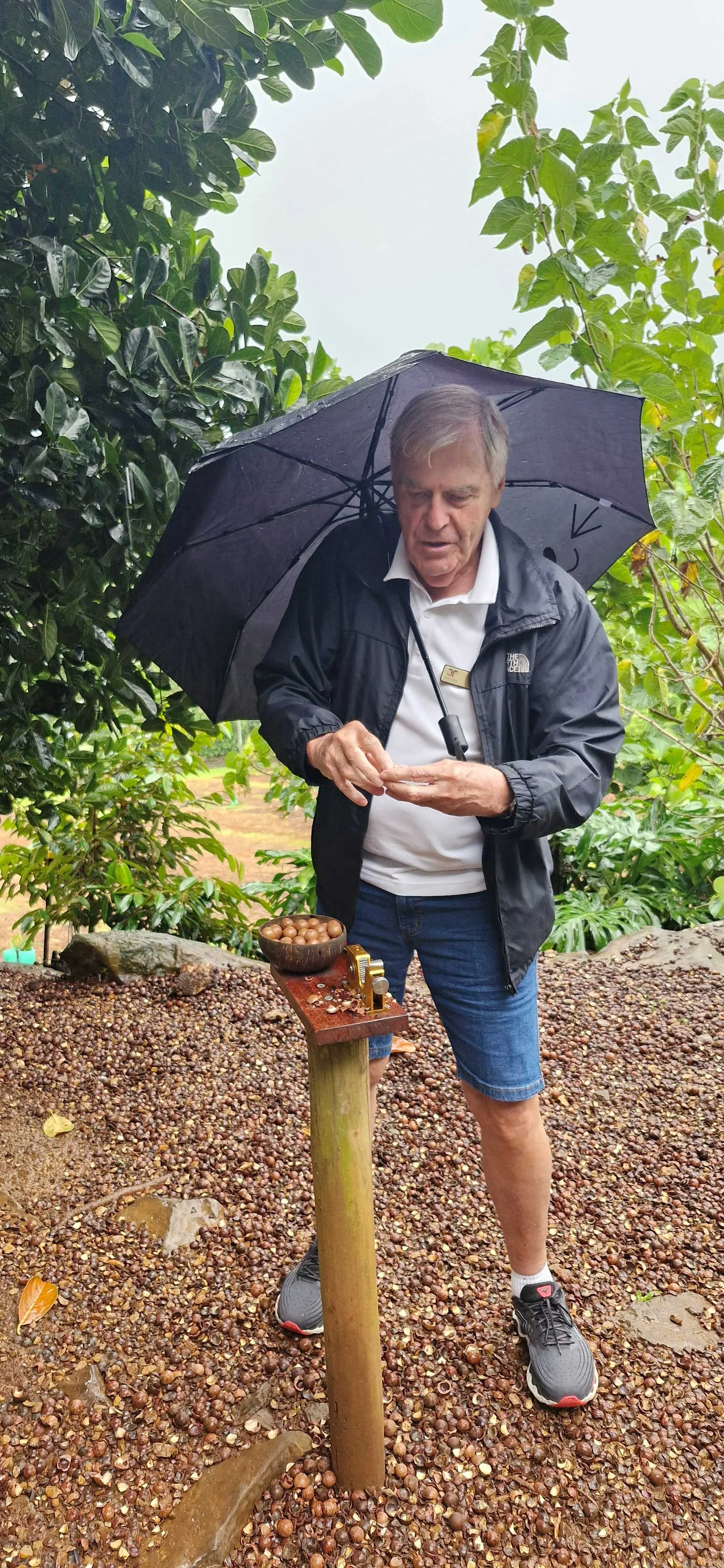 nut cracking anyone 1.jpg