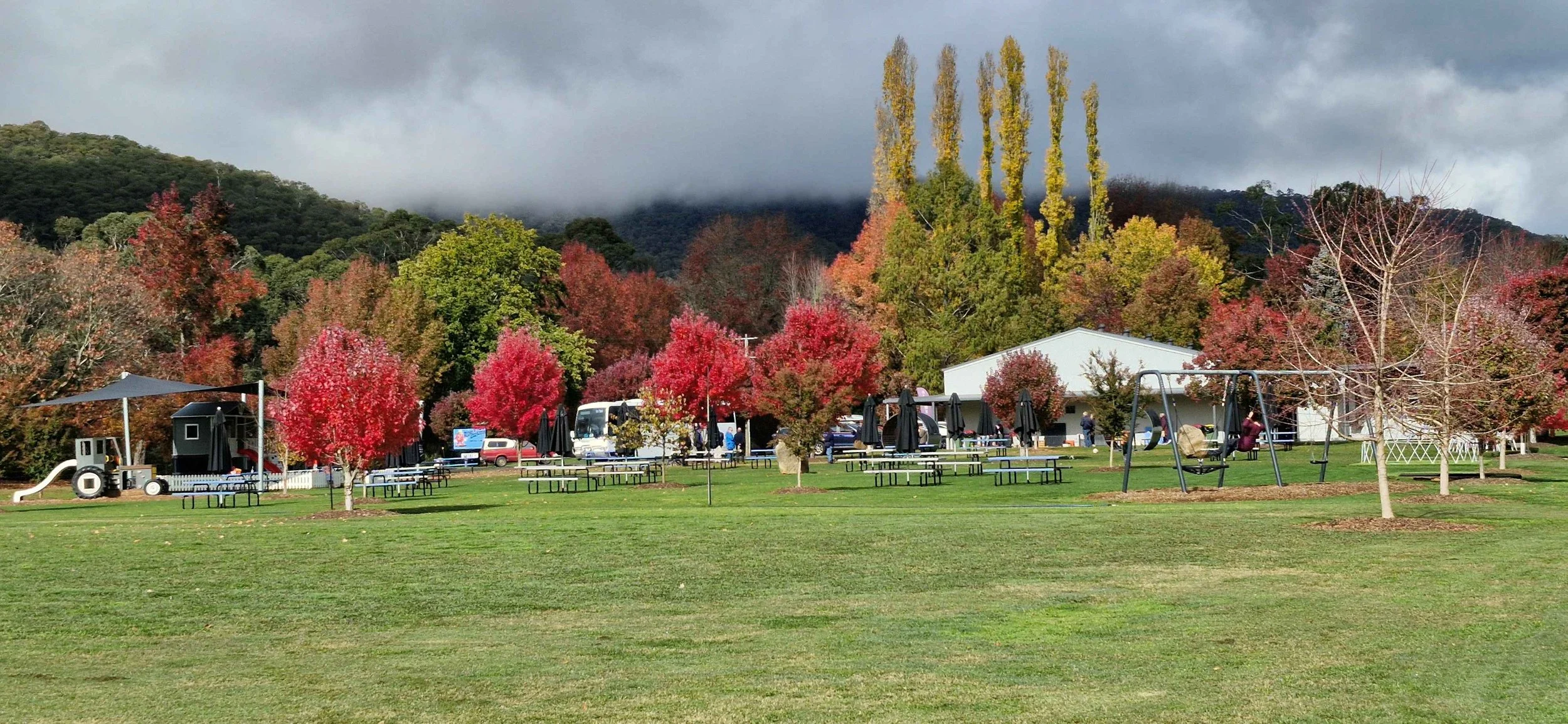 apple farm mountain.jpg