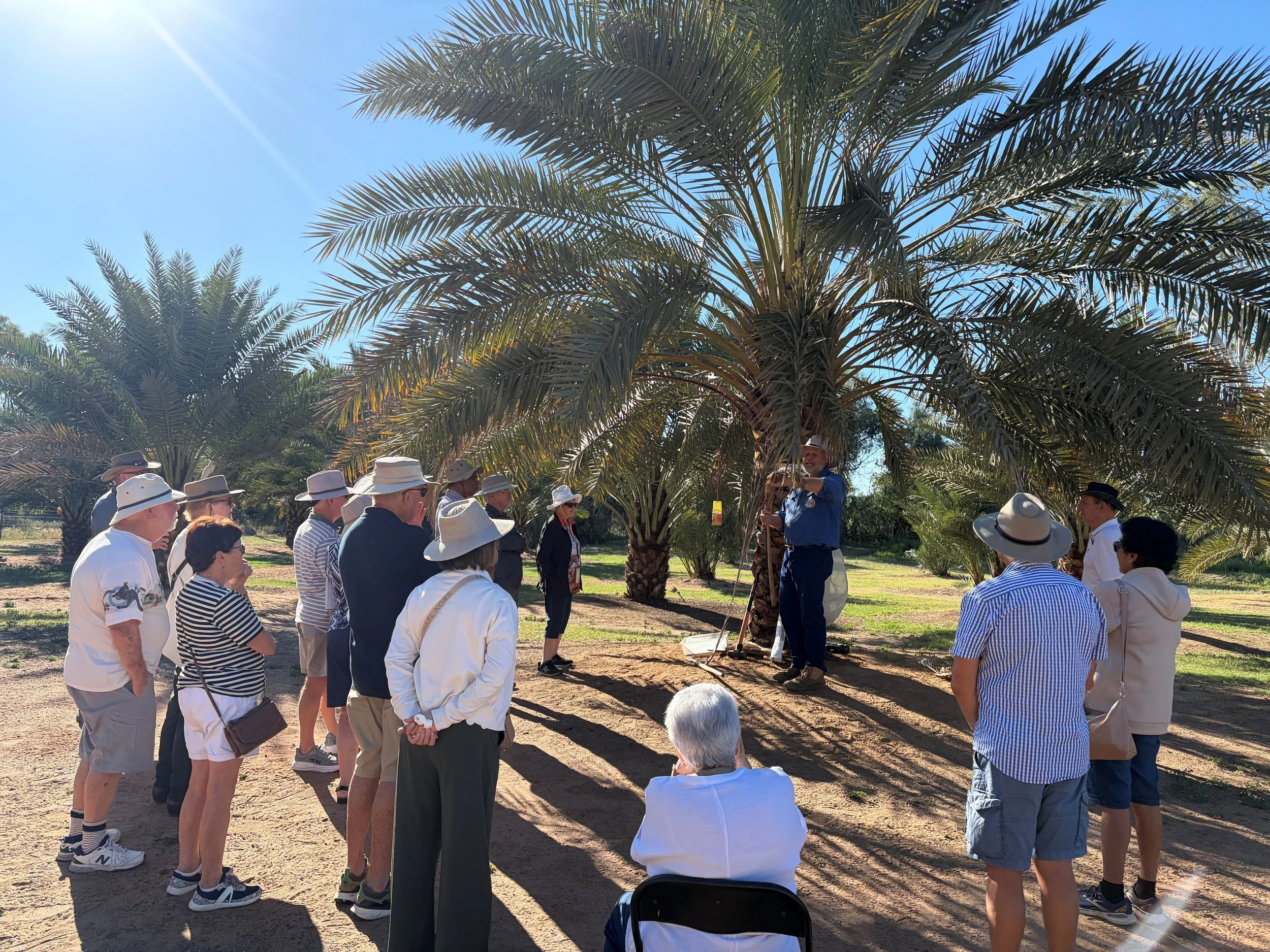 Charleville date farm tour2.jpg