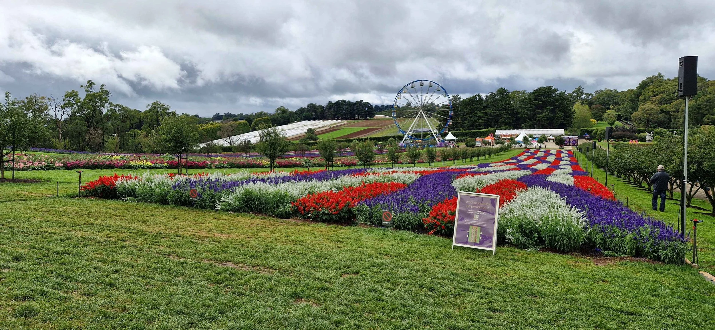 tesselaar flower show 1.jpg