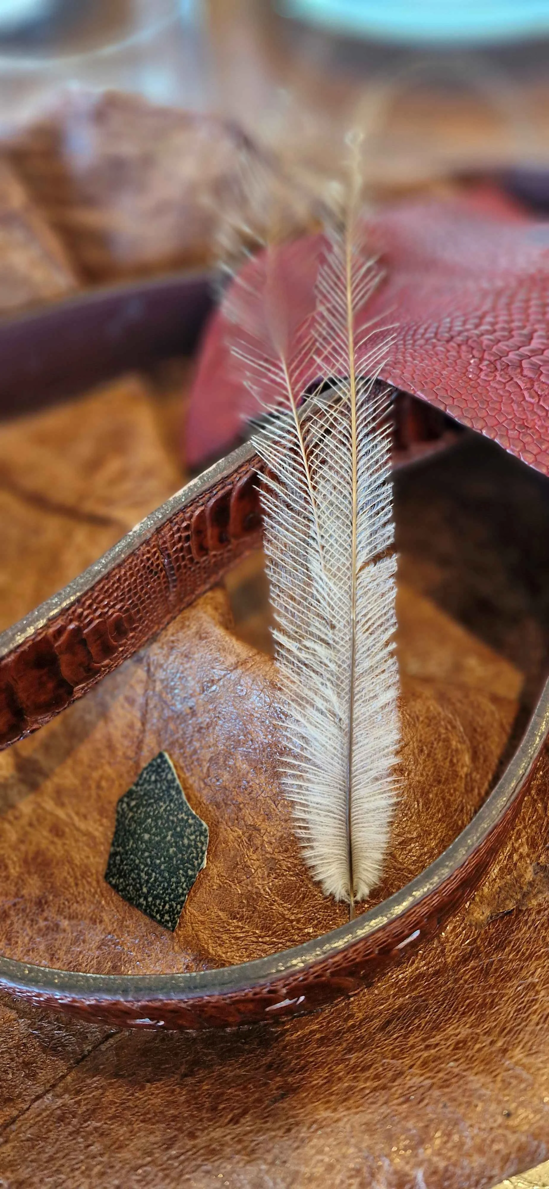 emu egg shell, skin. leg leather and a belt.jpg