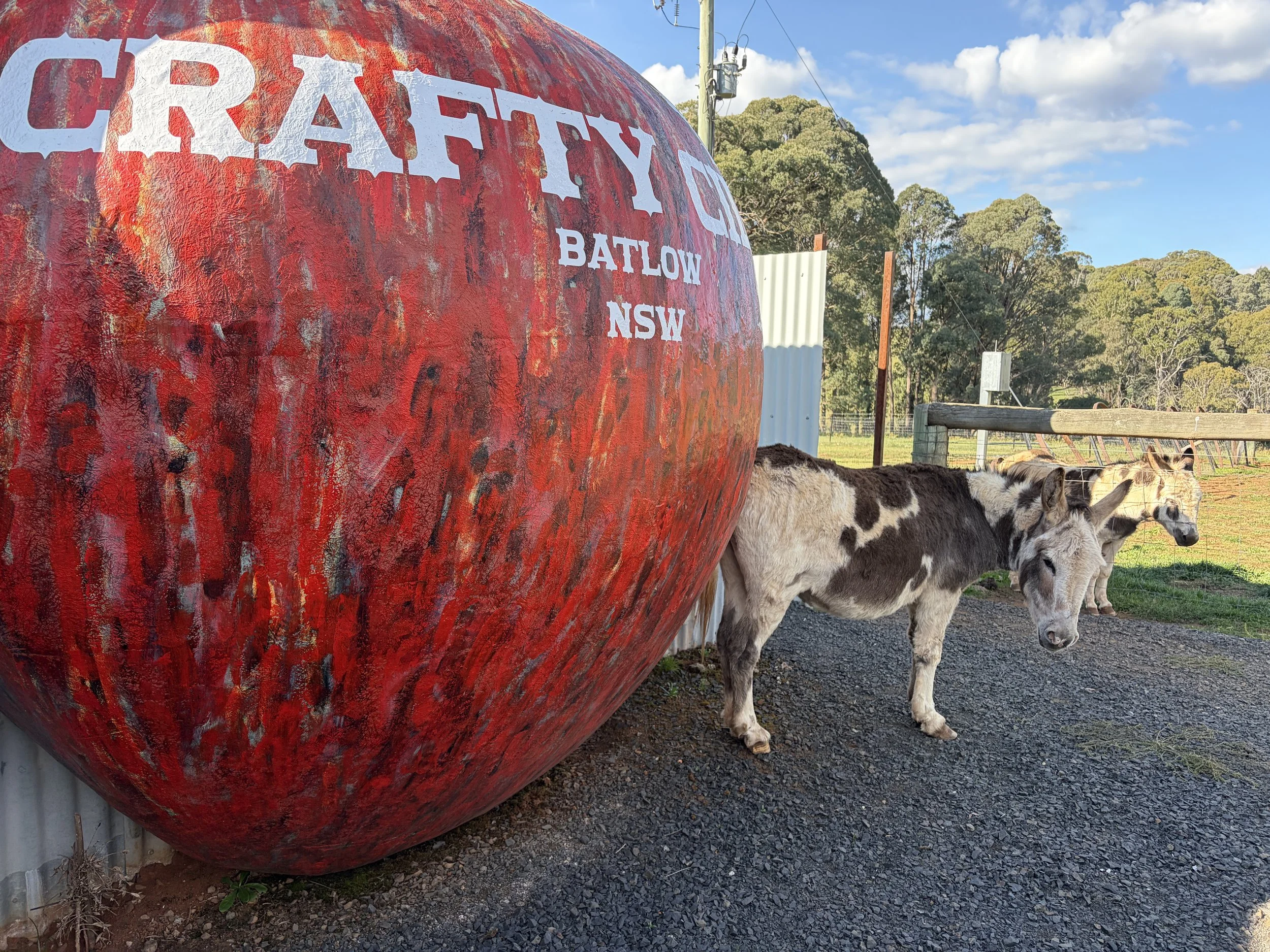 Tumut Valley_26-04_ Rescue animals at Crafty cider Batlow .JPG