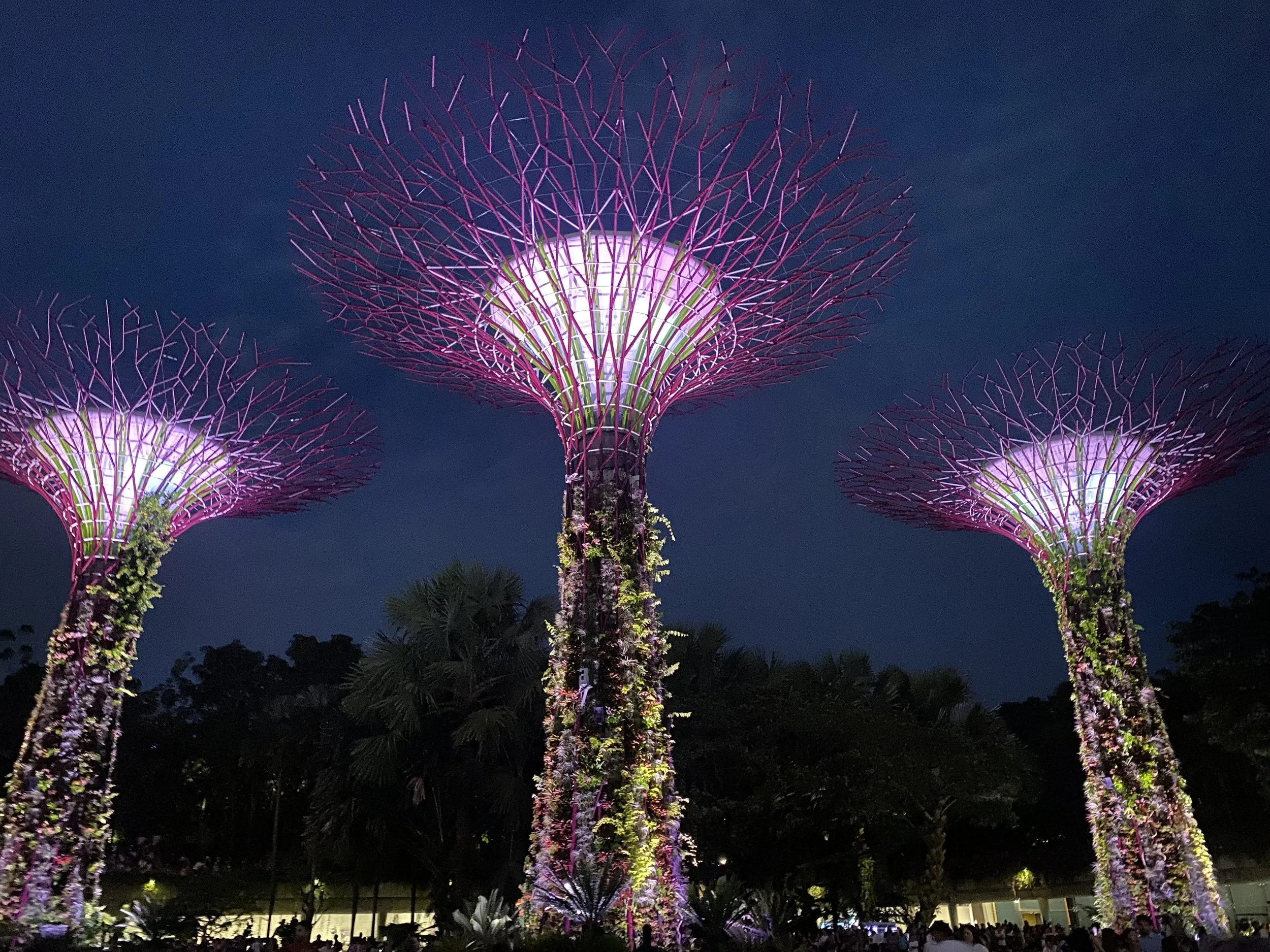 Singapore (19).jpg