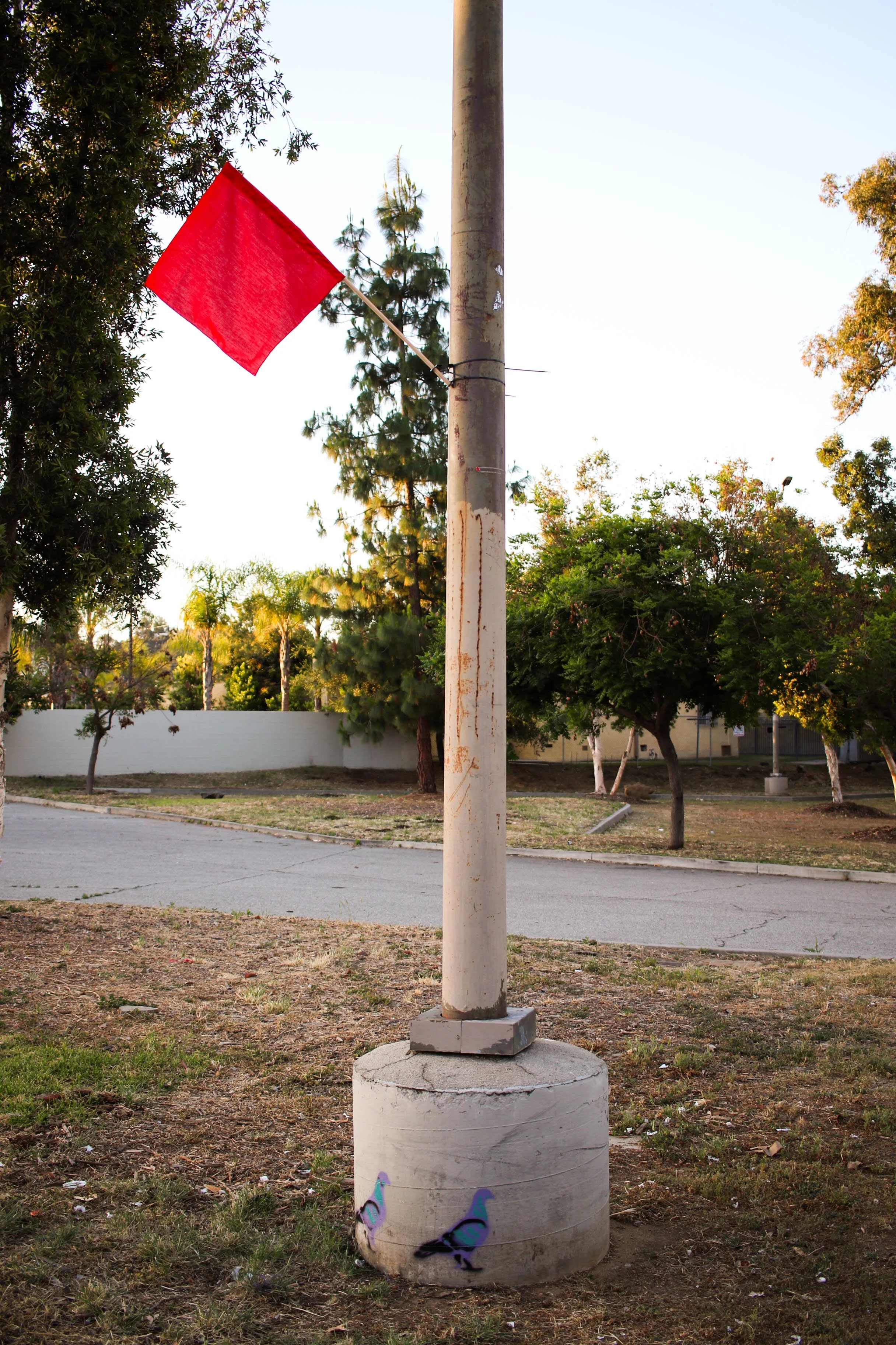 York Blvd 2026.jpg