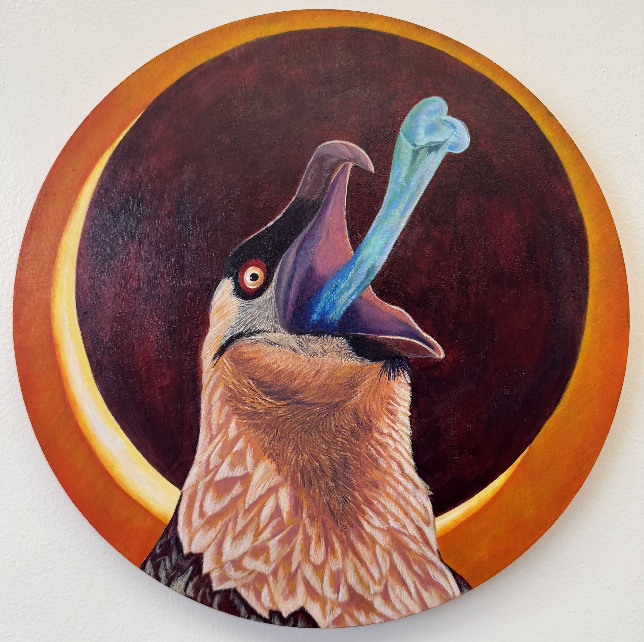 A Love Letter to the Vulture
