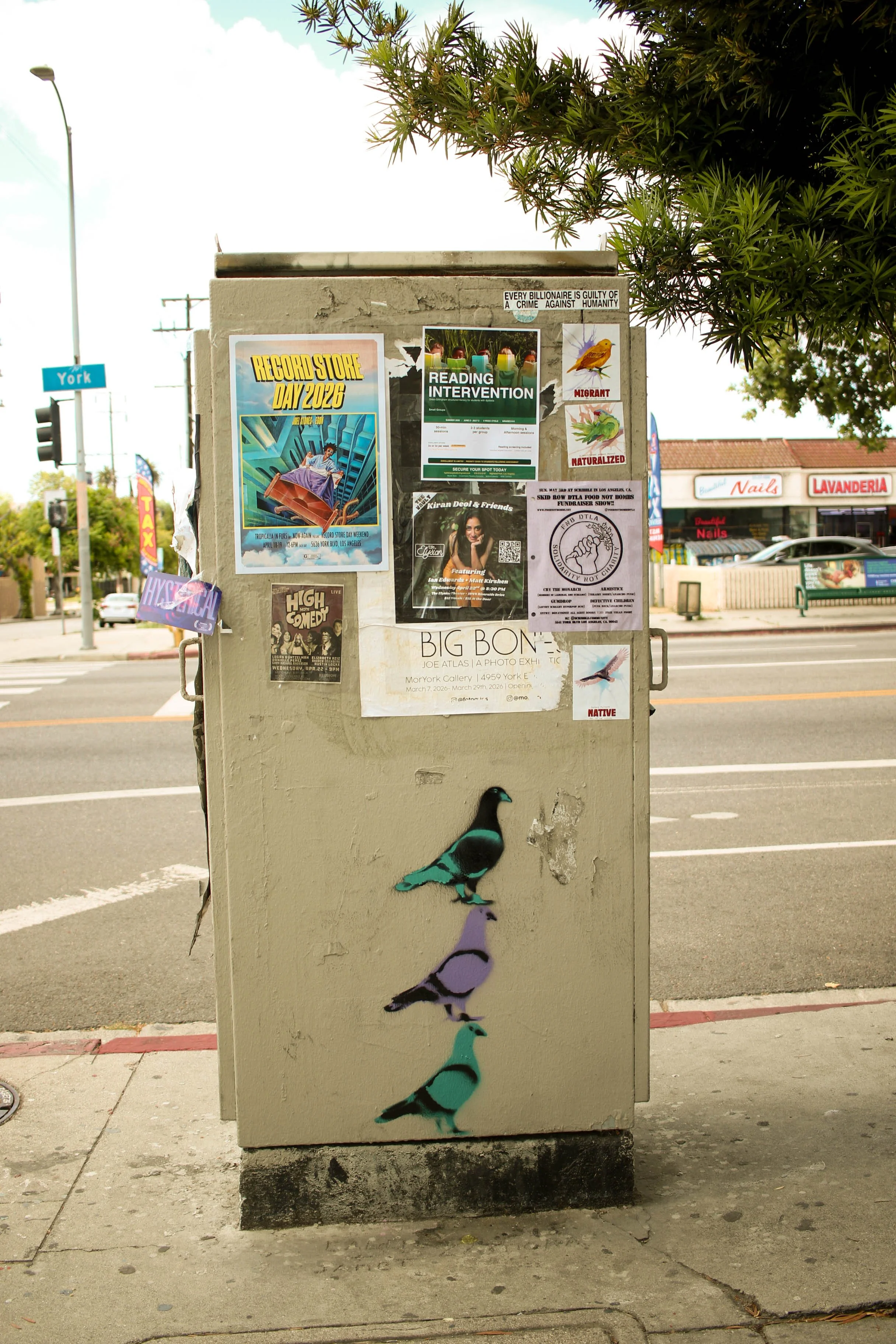 York Blvd 2026-32.jpg