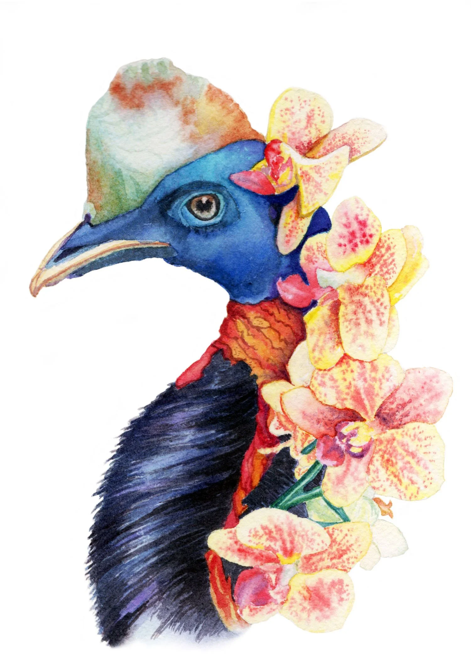 Wildlife Illustration