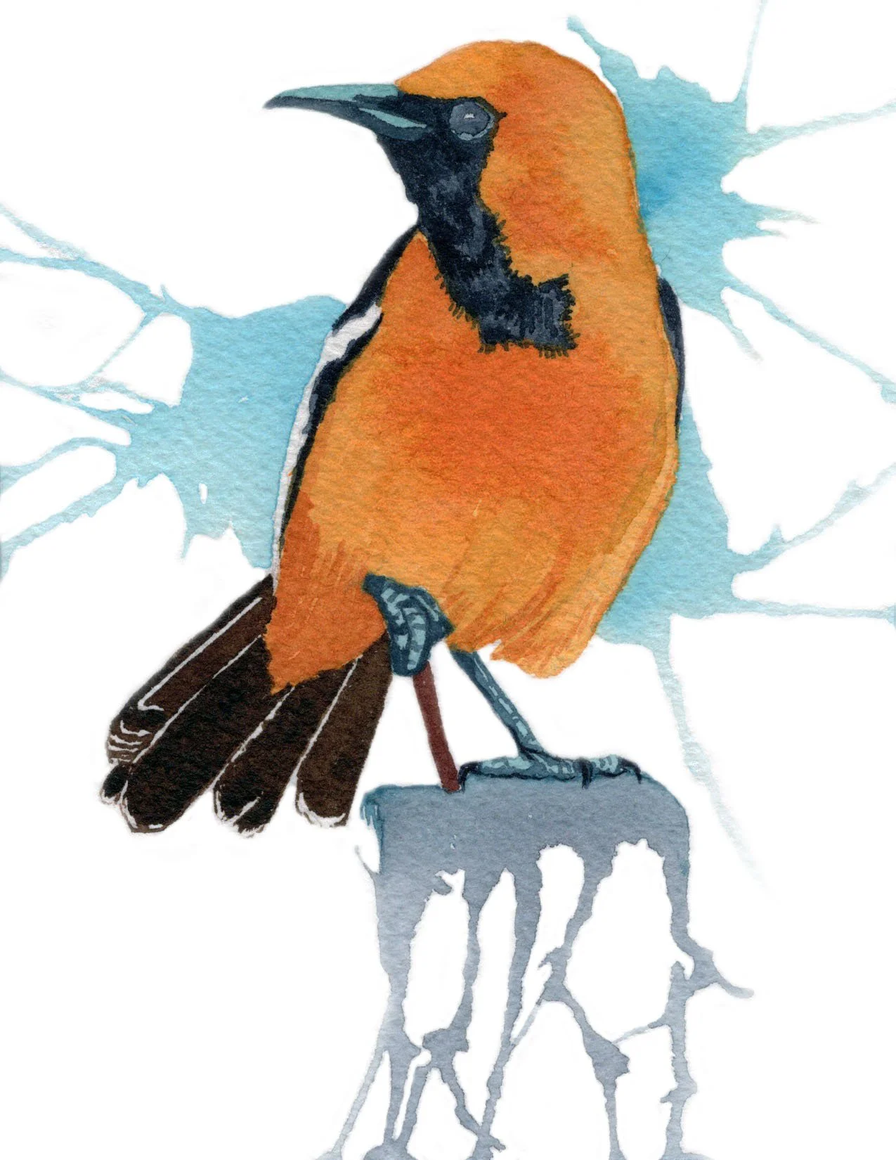 Hooded Oriole. Watercolor on paper. 4.25"x5.5". 2026.