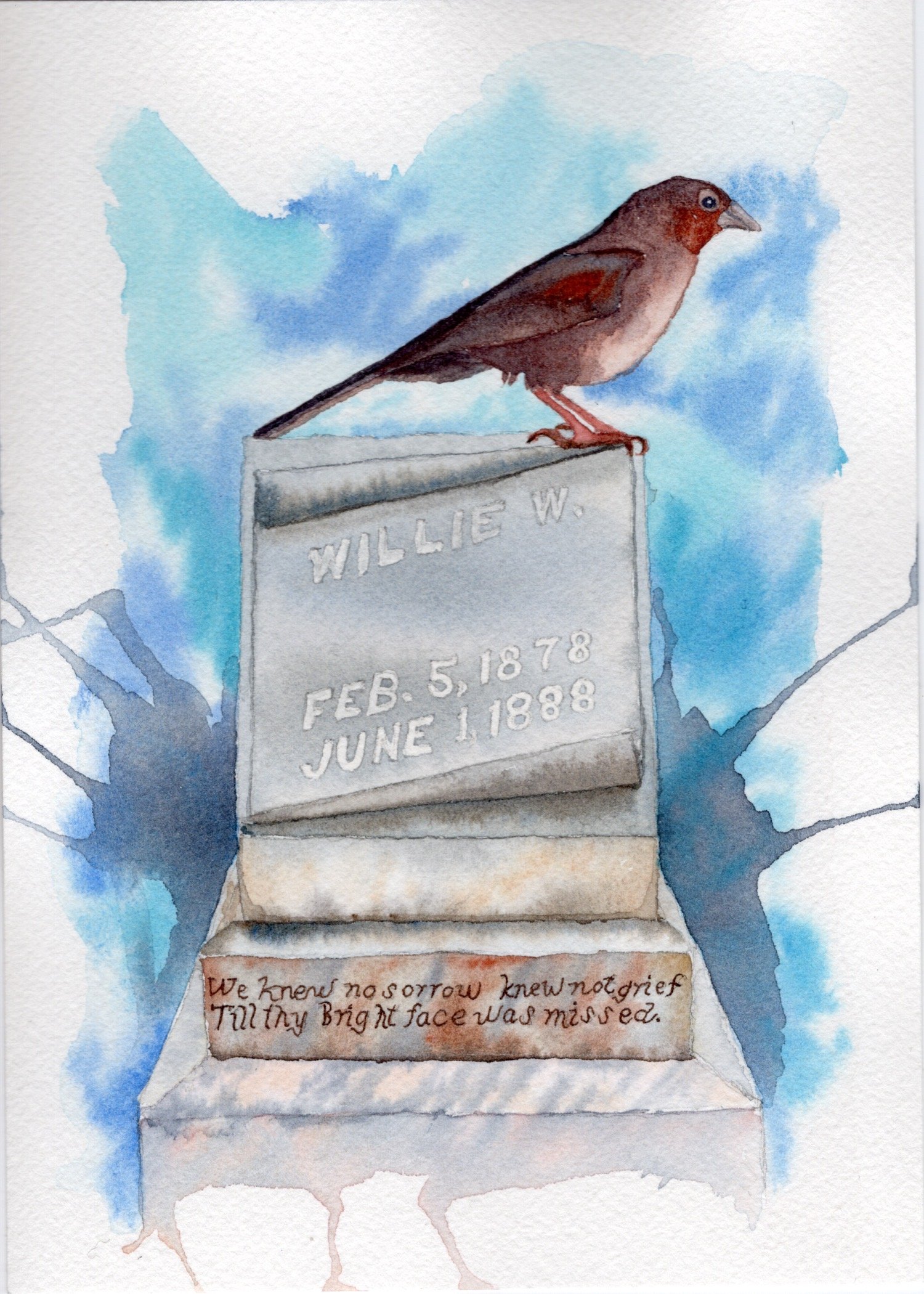California Towhee. Watercolor on Paper. 5"x7". 2025.