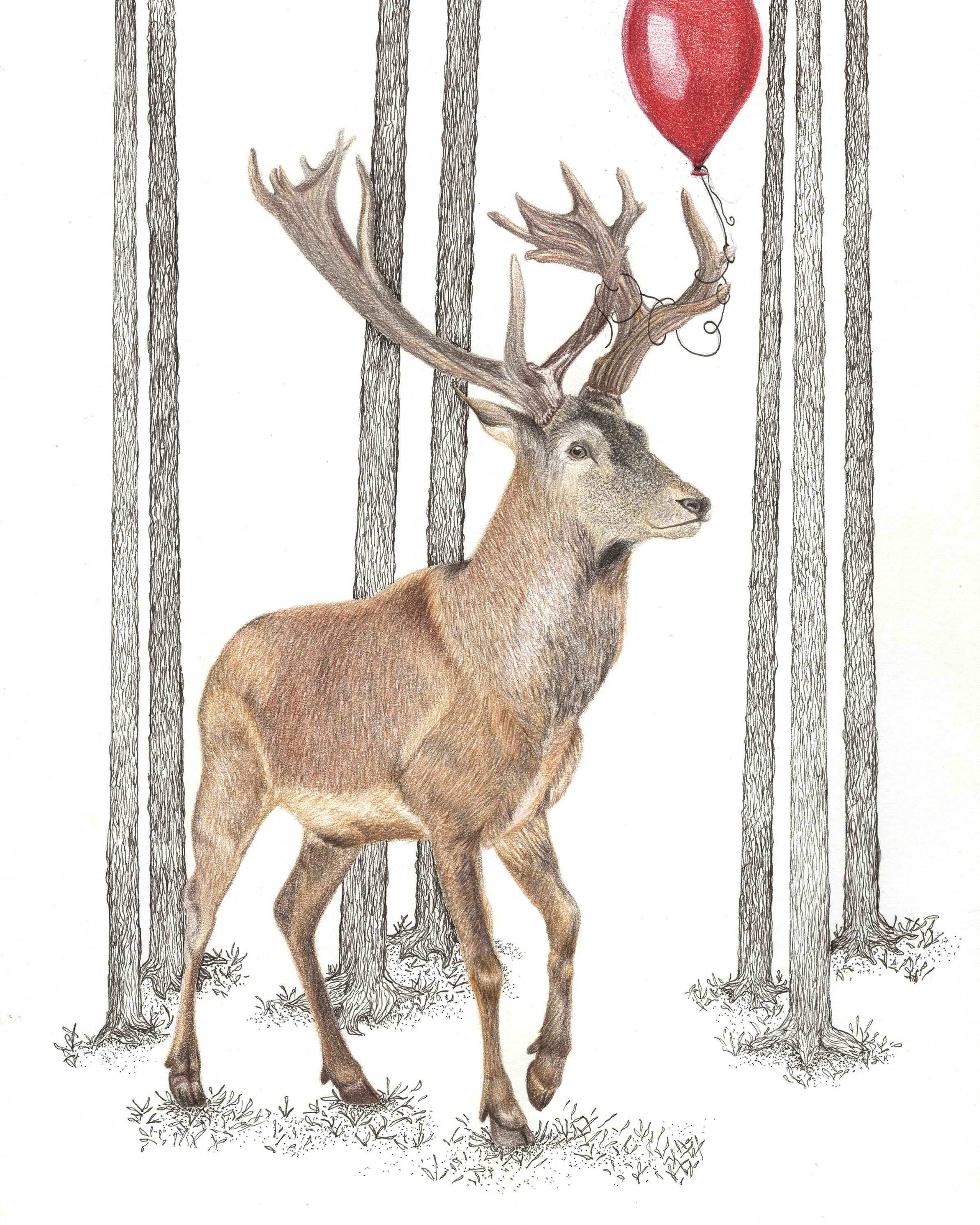 "Prince of the Forest" Colored pencil and ink on paper. 9"x12". 2014.