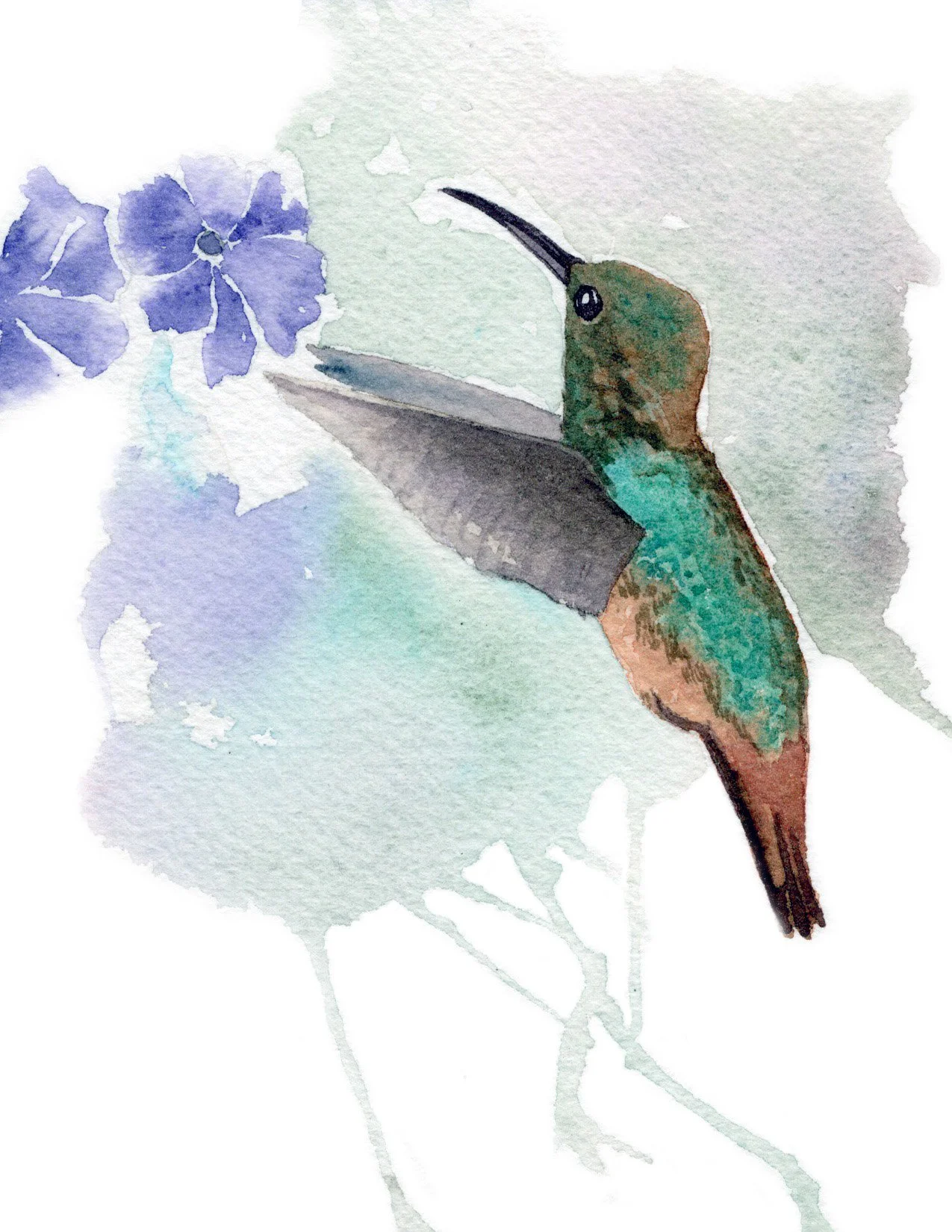 Allan's Hummingbird. Watercolor on Paper. 4.25x5.5". 2026.