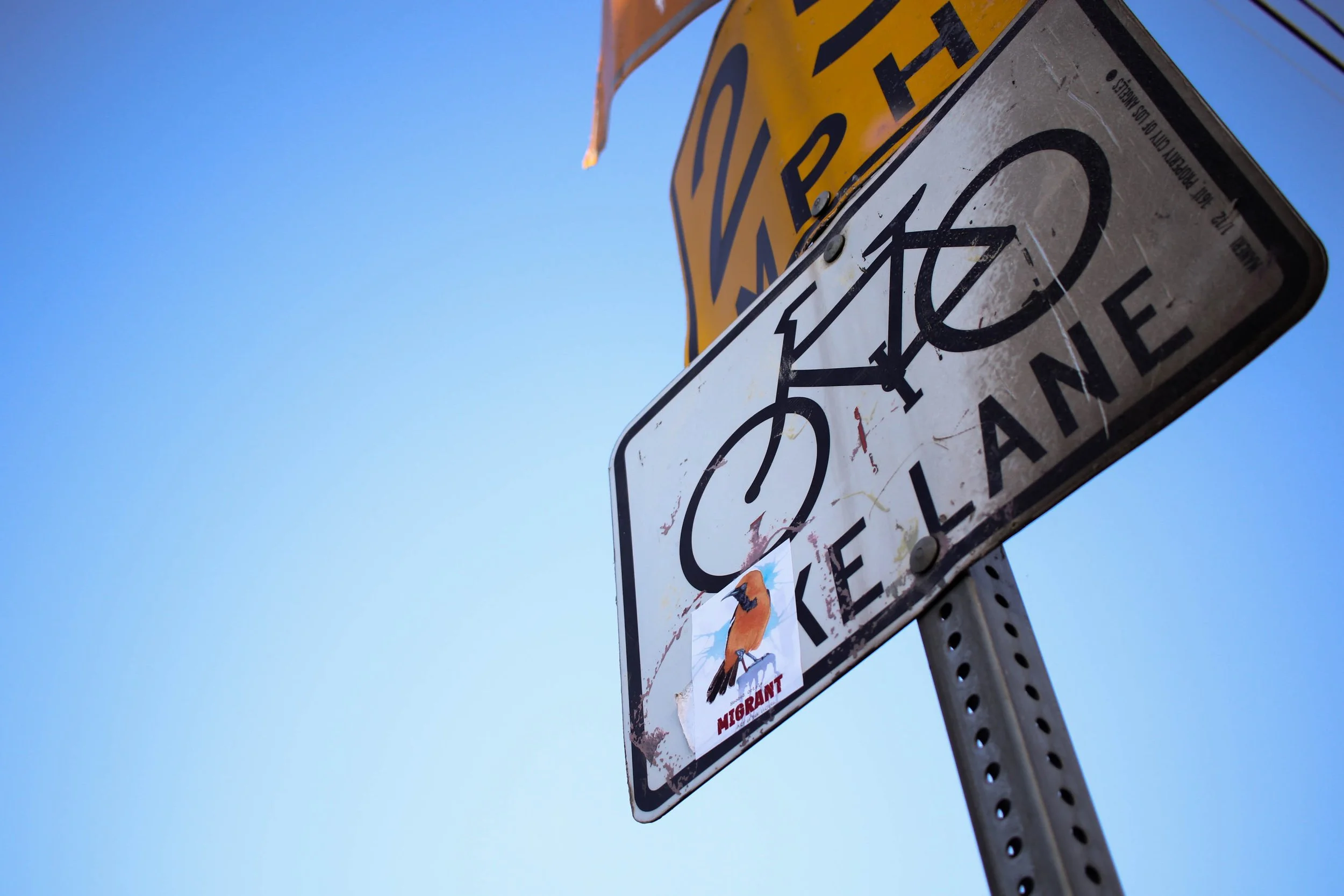 York Blvd 2026-13.jpg
