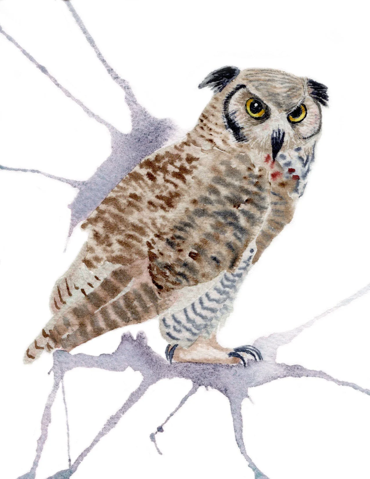 Great Horned Owl. Watercolor on Paper. 4.25"x5.5". 2026.