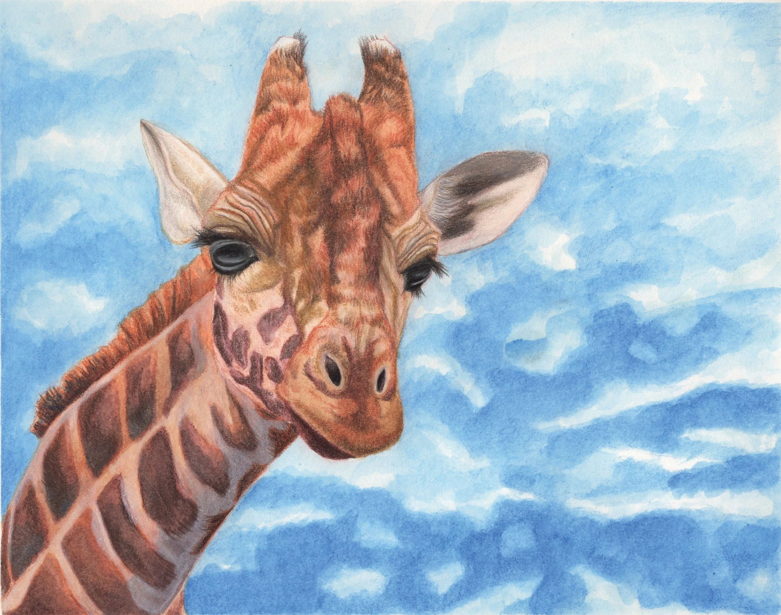 "Head in the Clouds". Colored Pencil and ink on paper. 8"x10". 2020.
