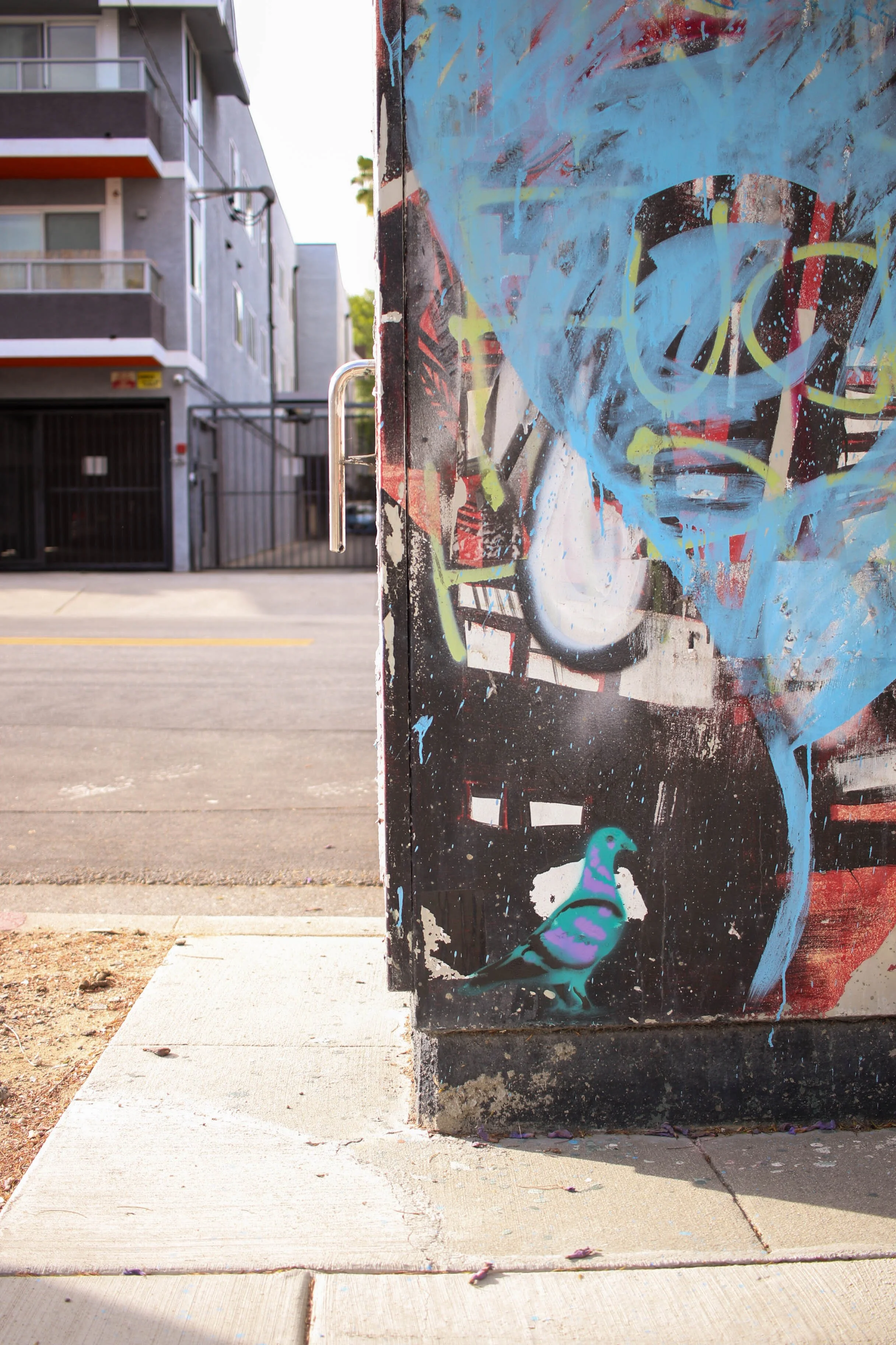 York Blvd 2026-24.jpg