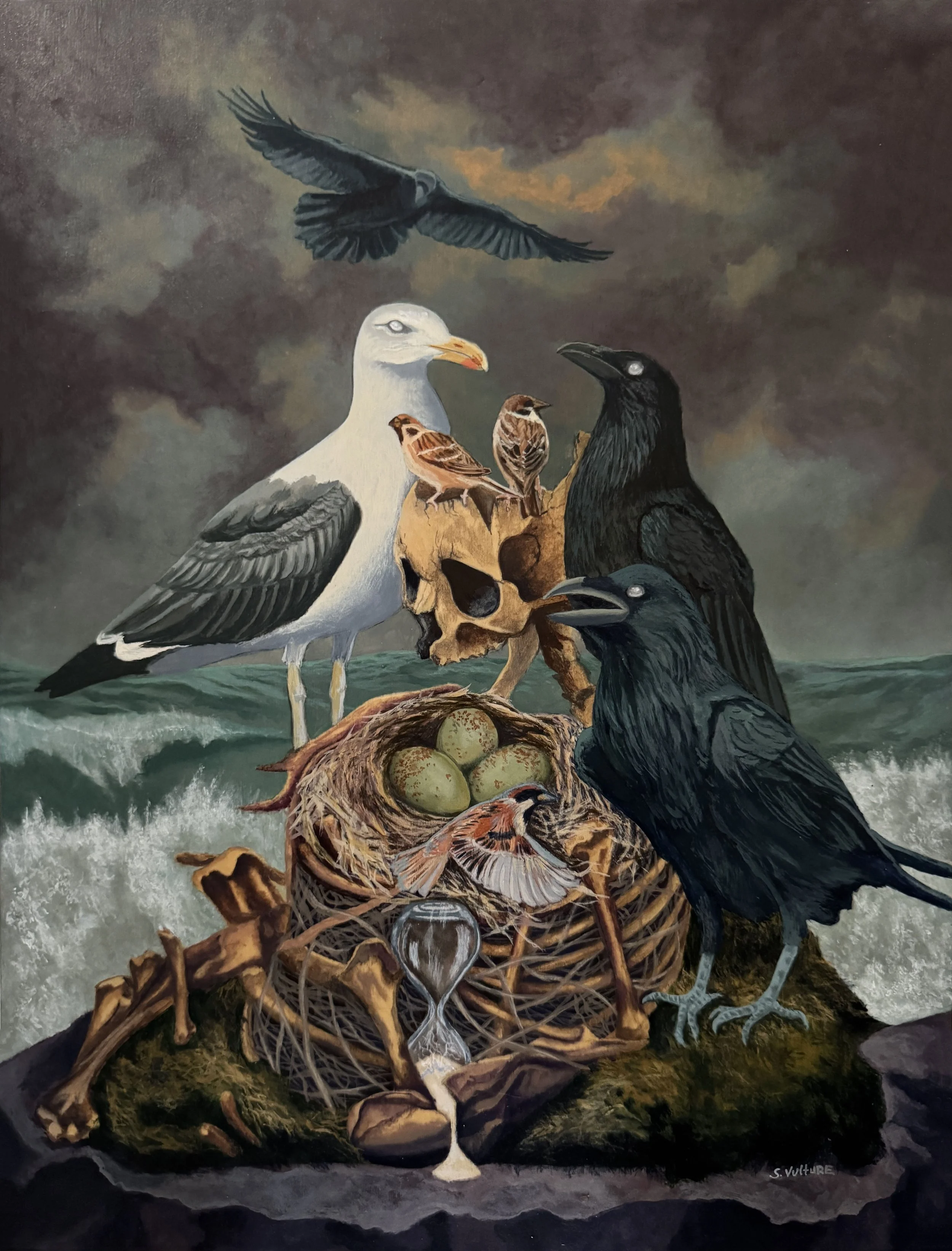 Birds of Conflict
