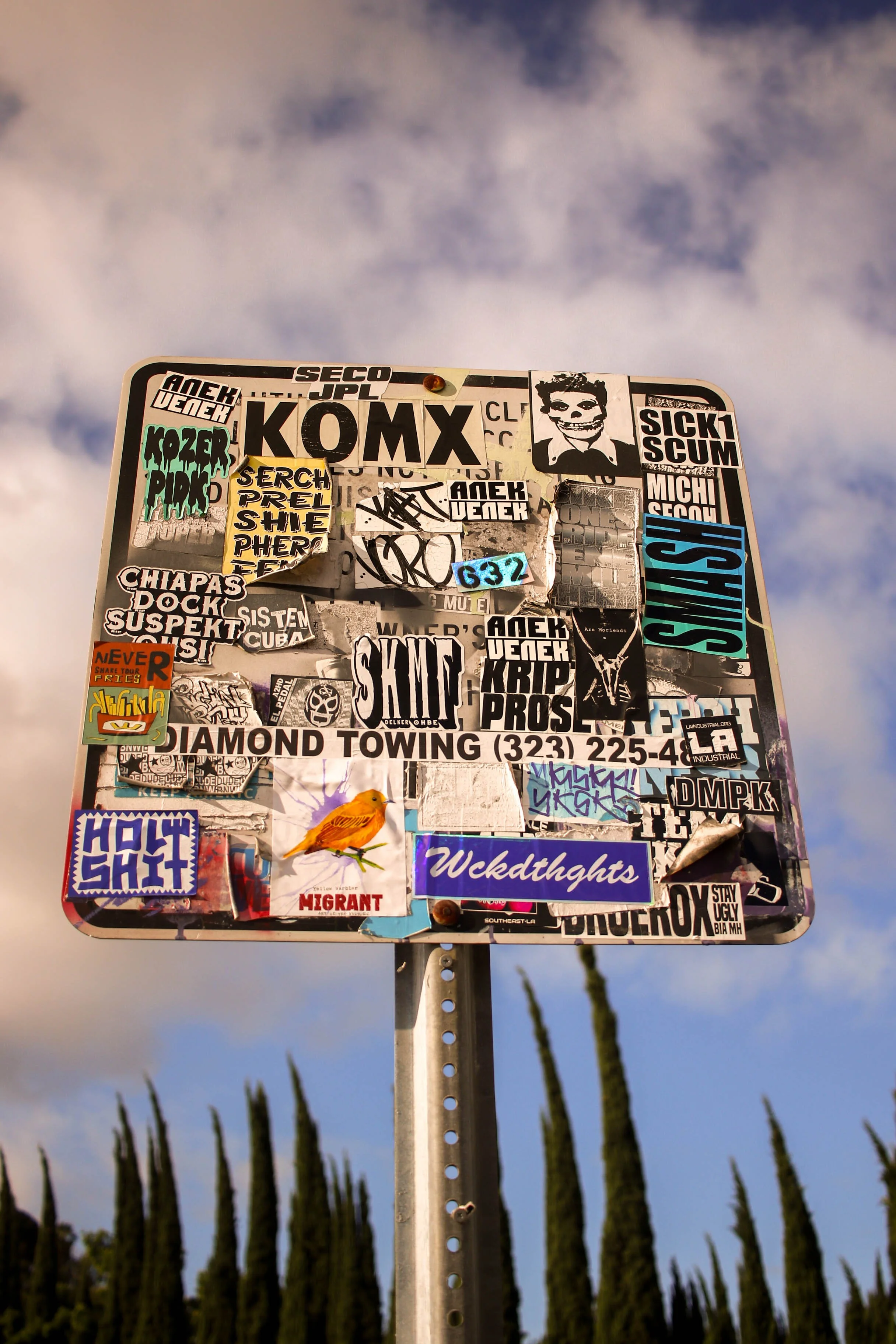 York Blvd 2026-19.jpg