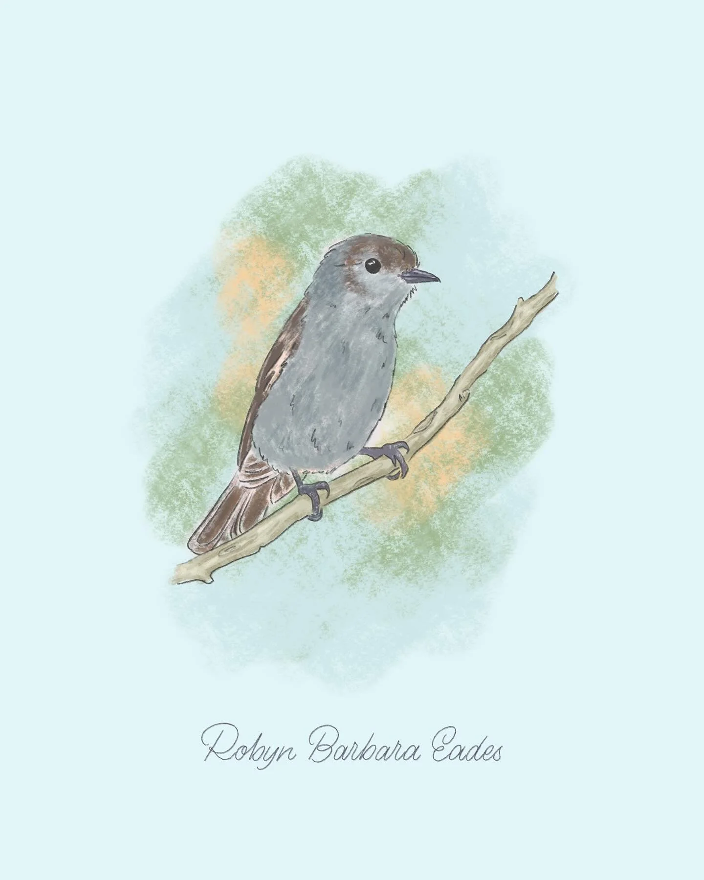 Two weeks ago my Aunty Robyn died. 
Robyn was my eldest aunty, a fiercely capable and independent woman with a passion for nature, hand making and an absolute master of communicating with raised eyebrows. Scorn, humour, interest, dislike - all could 