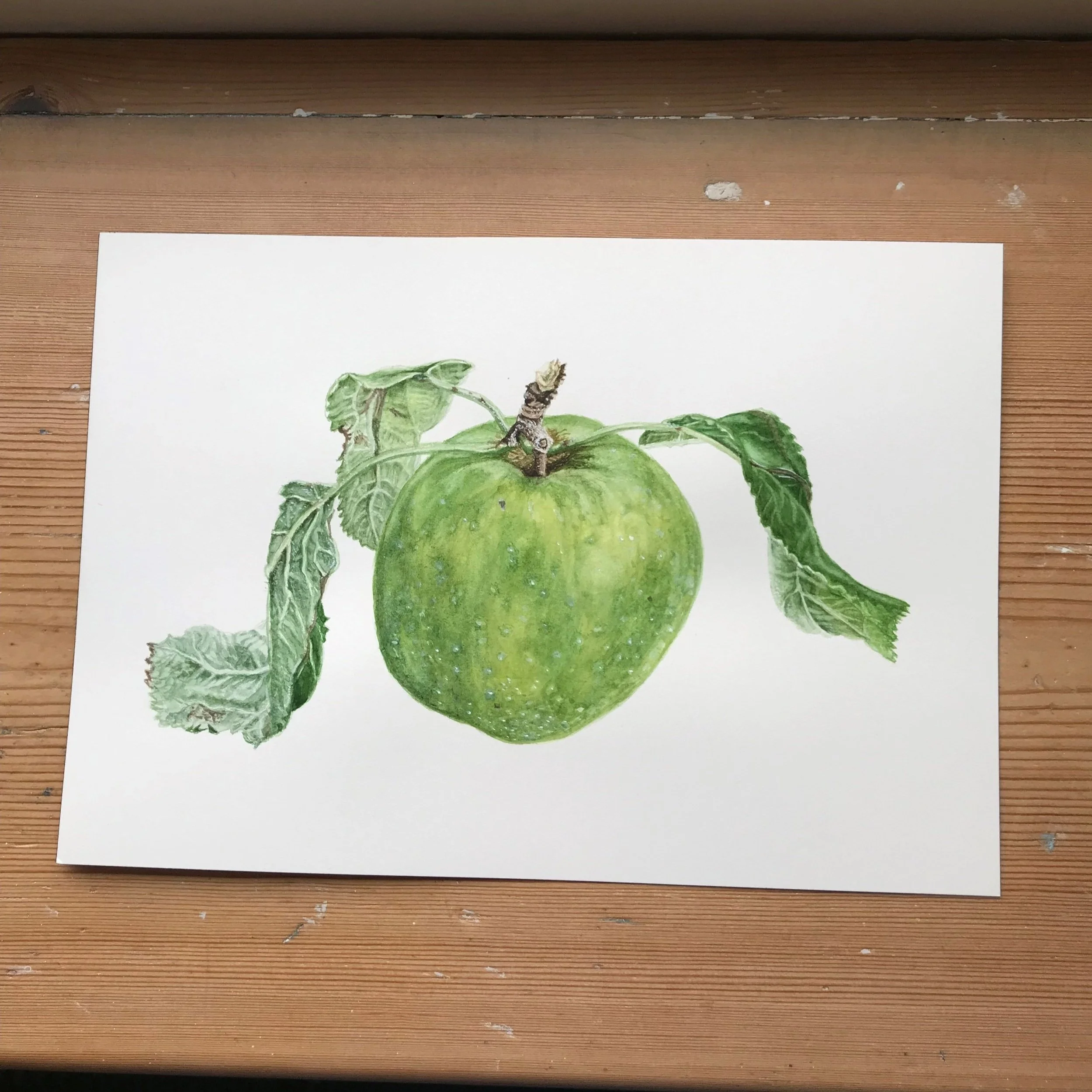 Apple.jpg