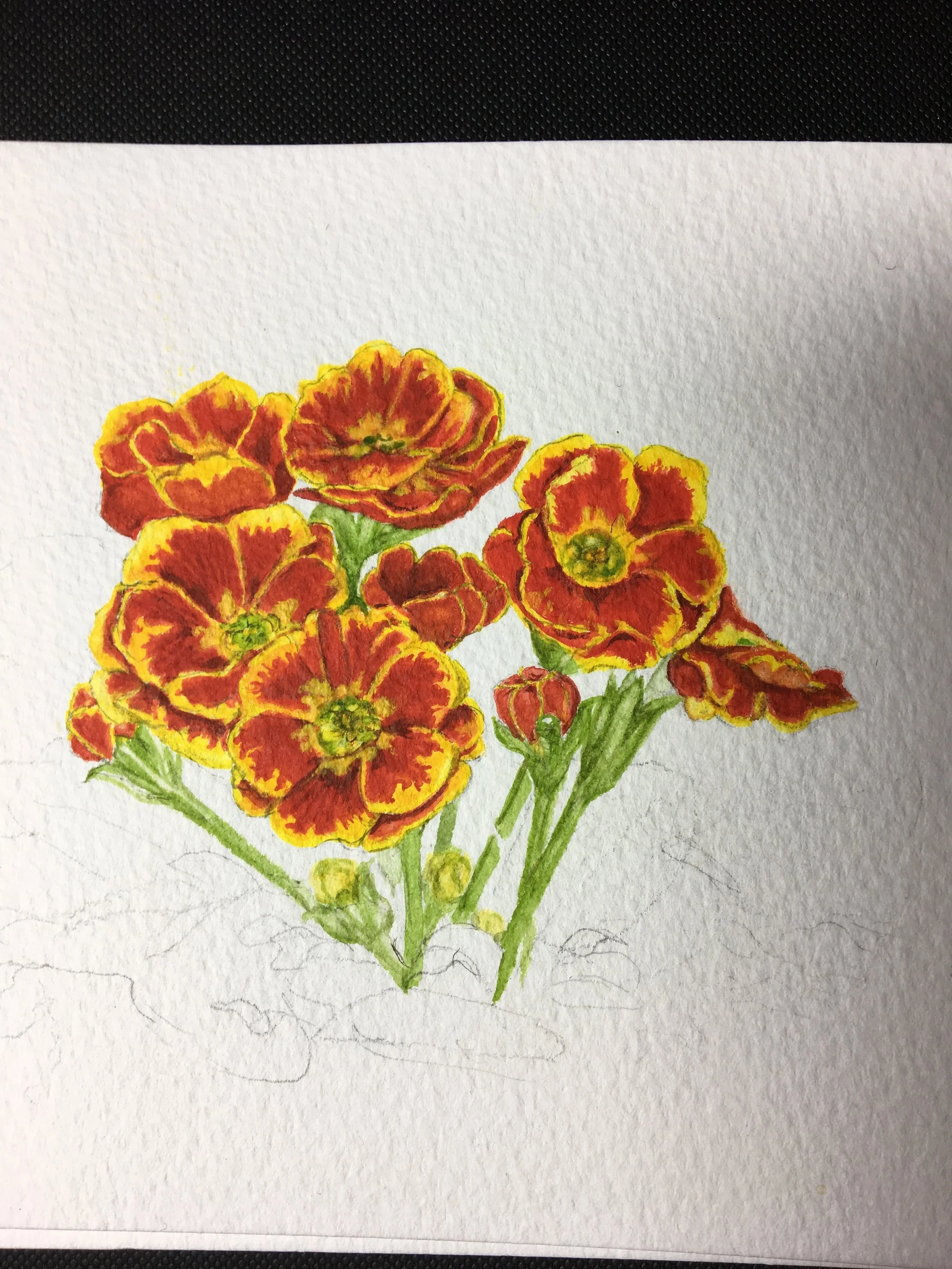 mid flower.jpg