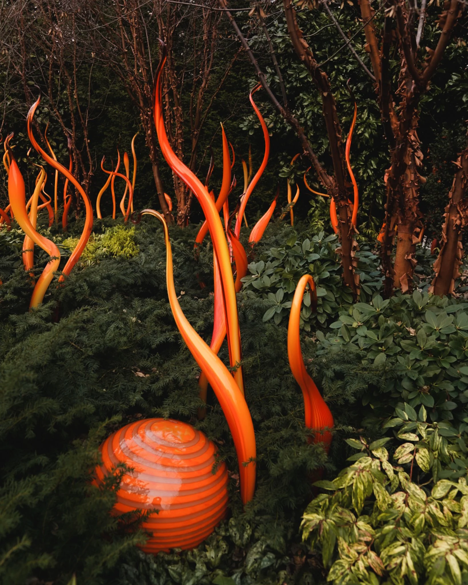 Shot by @ambluu-384.jpg