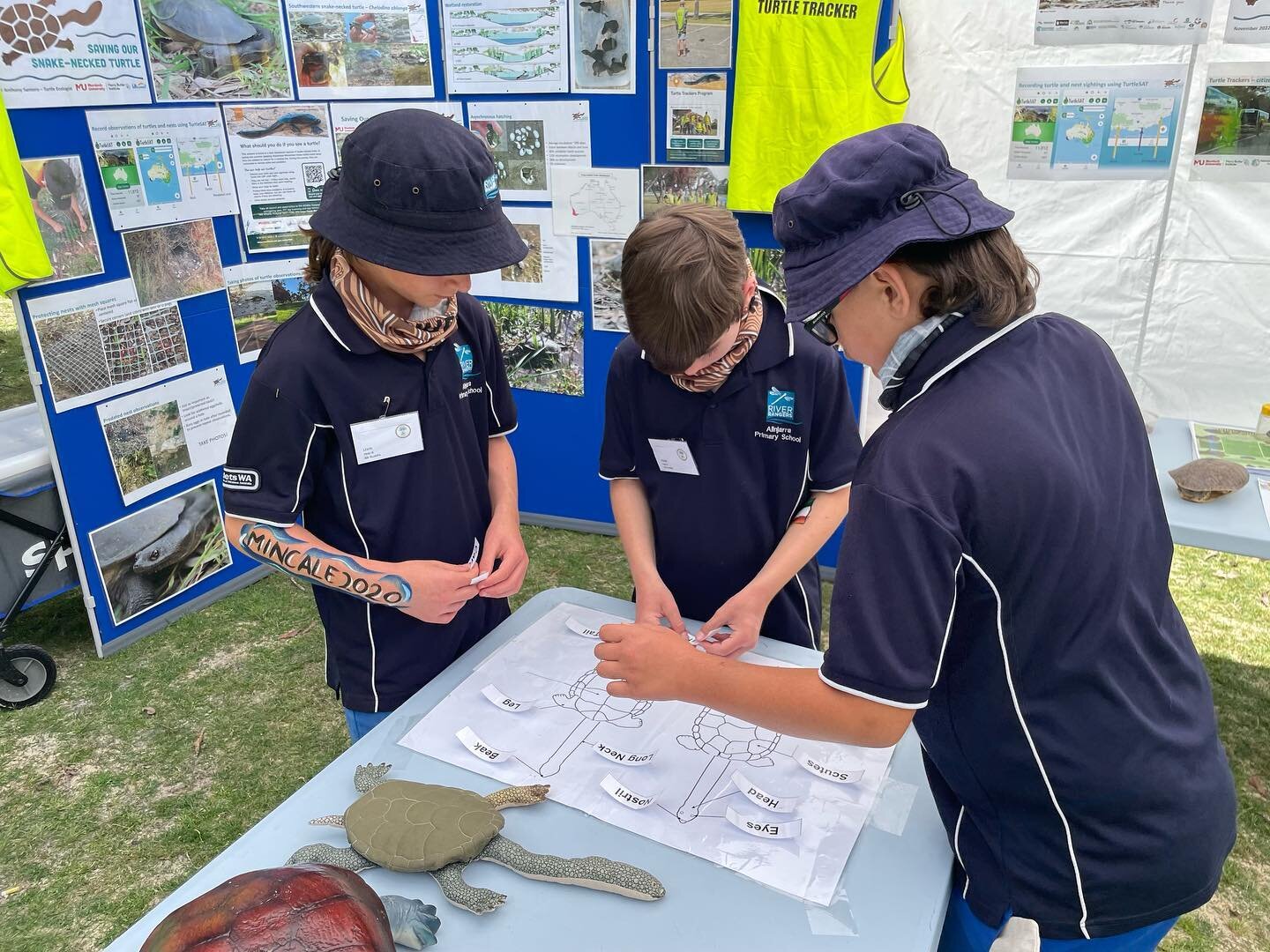 Busy learning about our Snake-necked turtles! 🐢Turtle-tastic day! Thanks @whitemanpark #childrensgroundwaterfestival  for the opportunity to share the #savingoursnakeneckedturtle story!