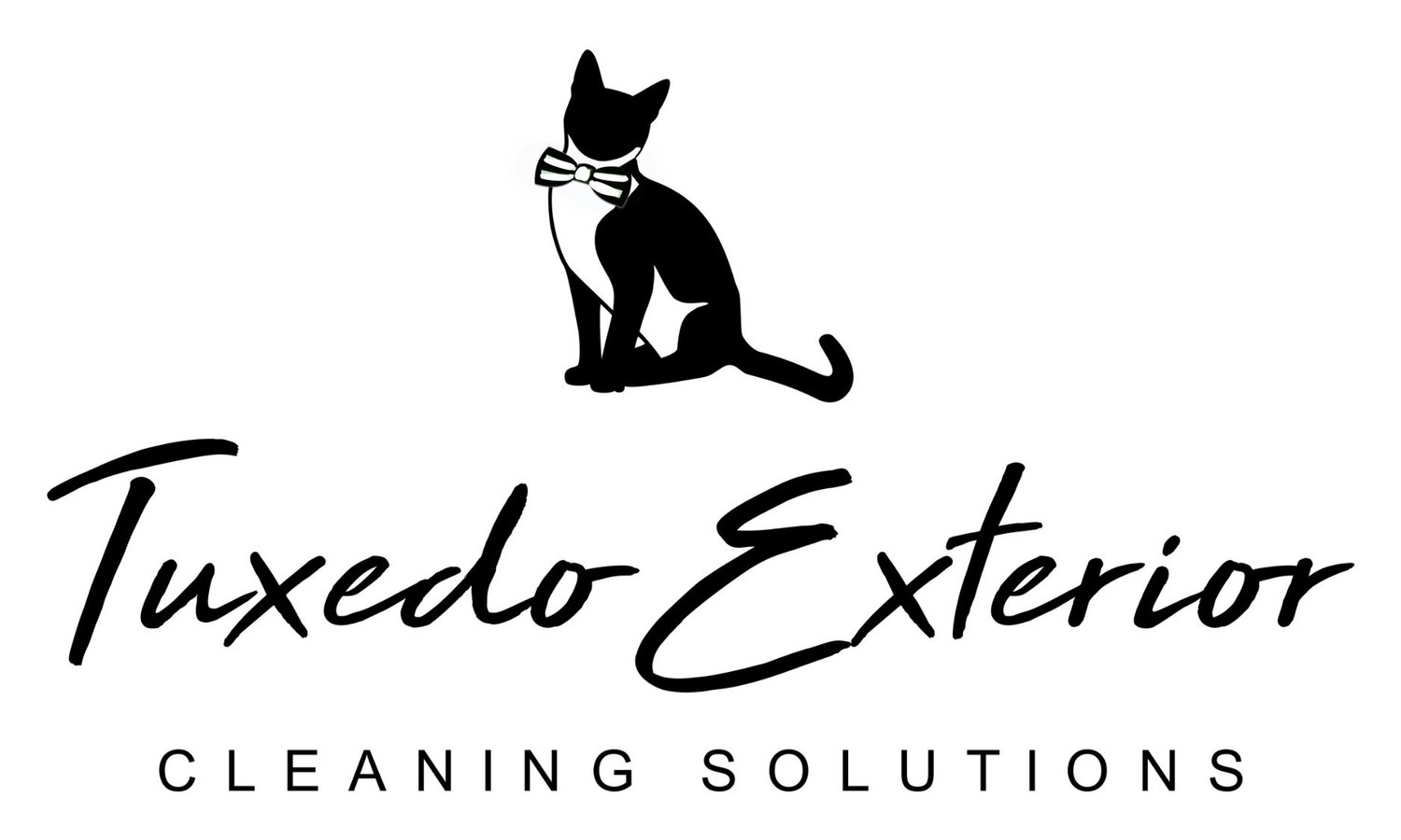Appointments 2 — Tuxedo Exterior Cleaning Solutions
