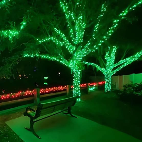 green-led-tree-lights-tuxedo-xterior-professional-installation.jpg
